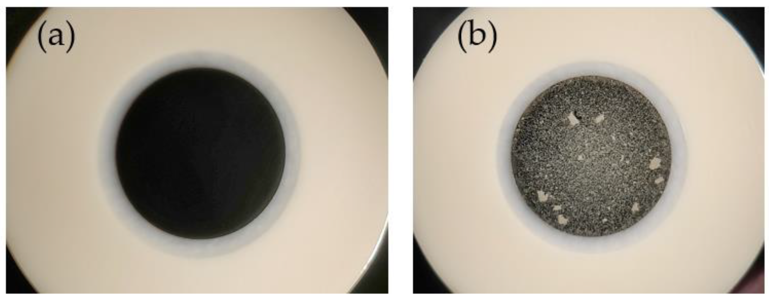 Catalysts 12 00791 g007