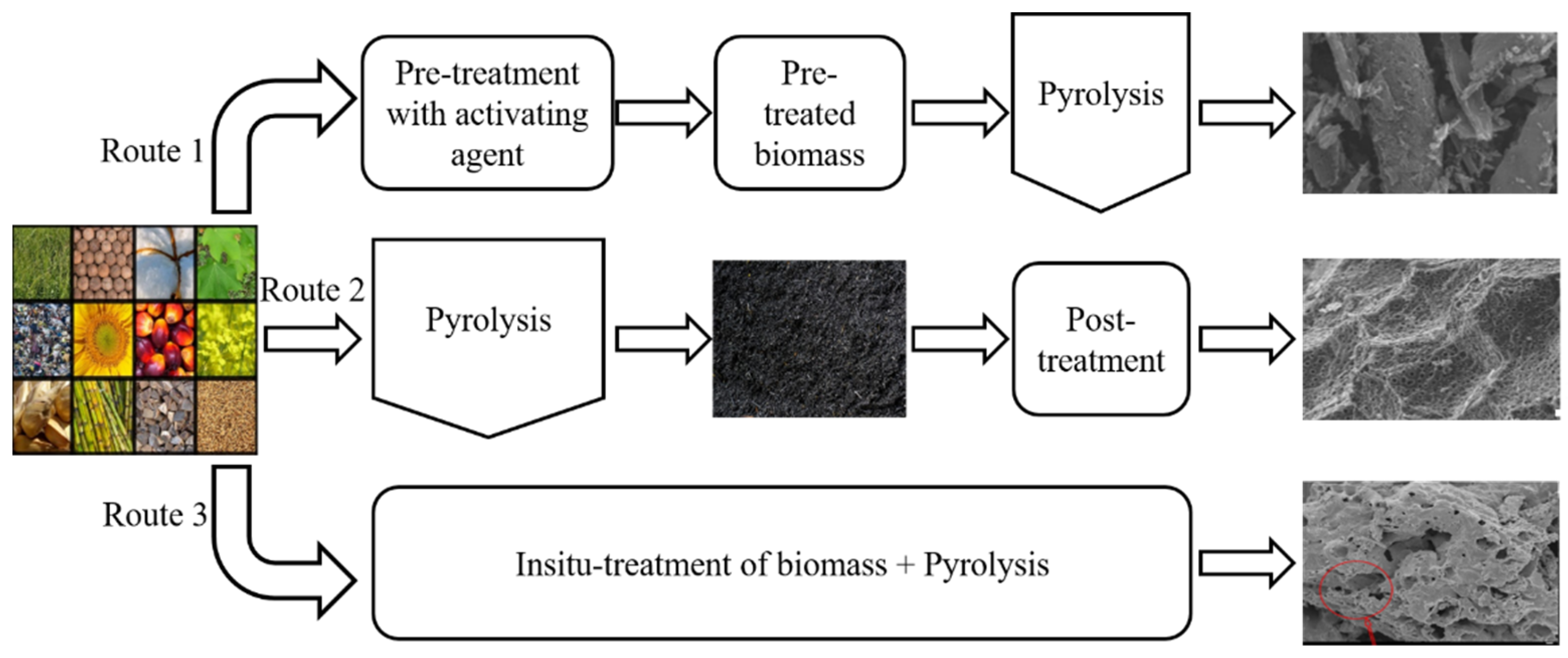 Catalysts 12 00798 g003