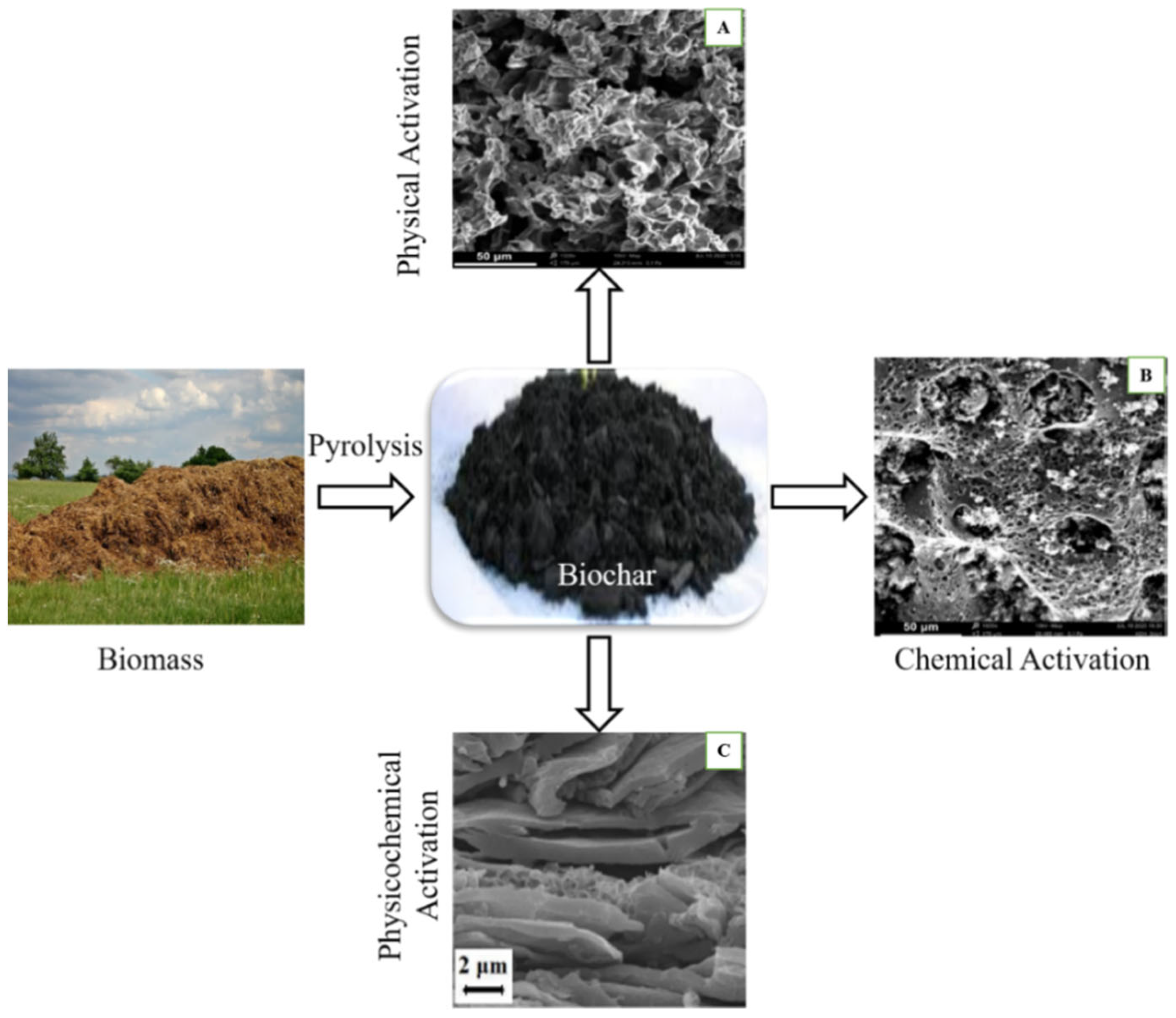 Catalysts 12 00798 g004