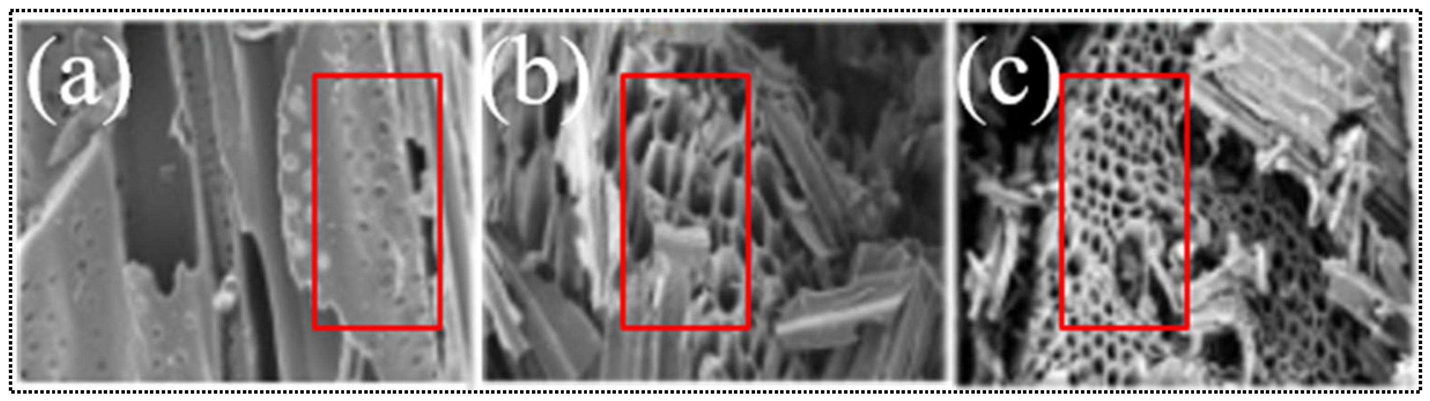 Catalysts 12 00798 g006
