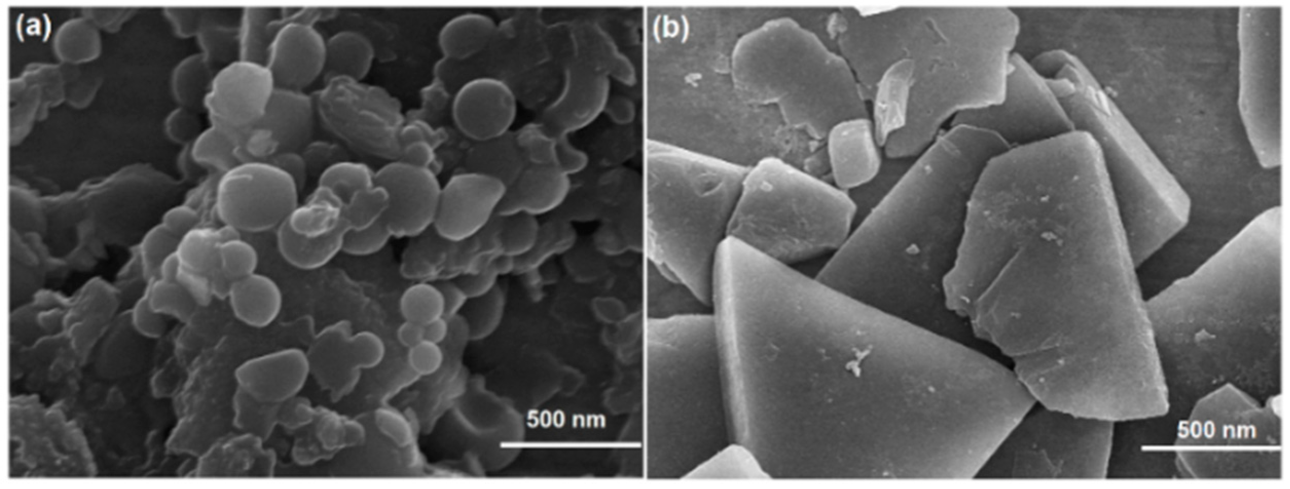 Catalysts 12 00799 g005