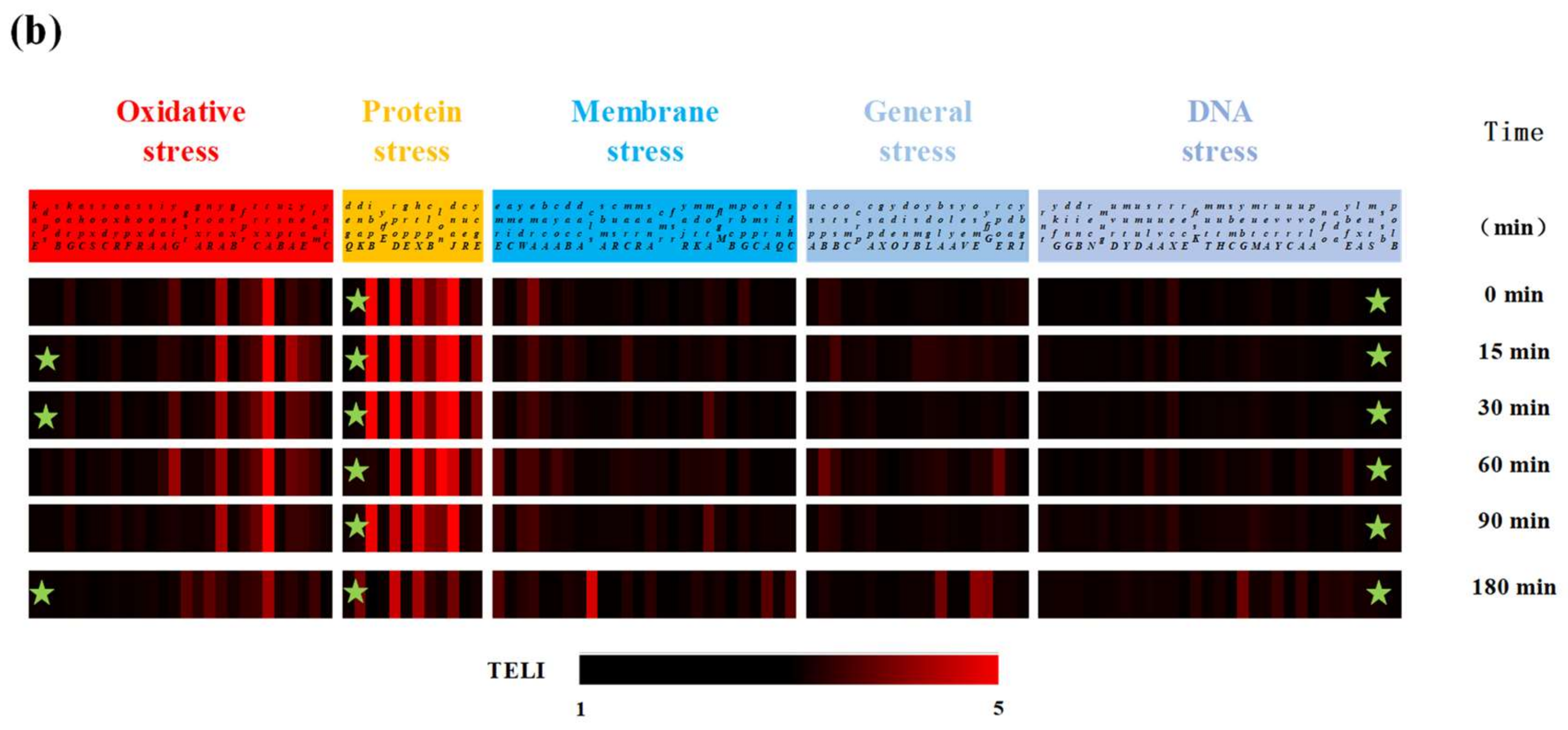 Catalysts 12 00815 g003b