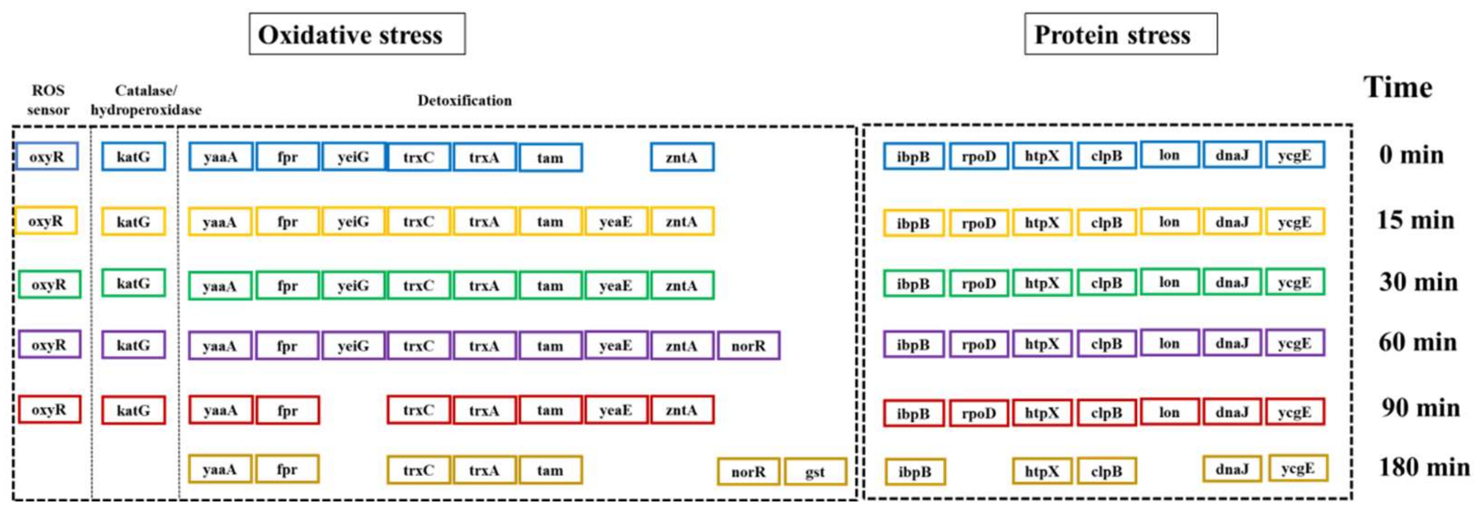 Catalysts 12 00815 g004