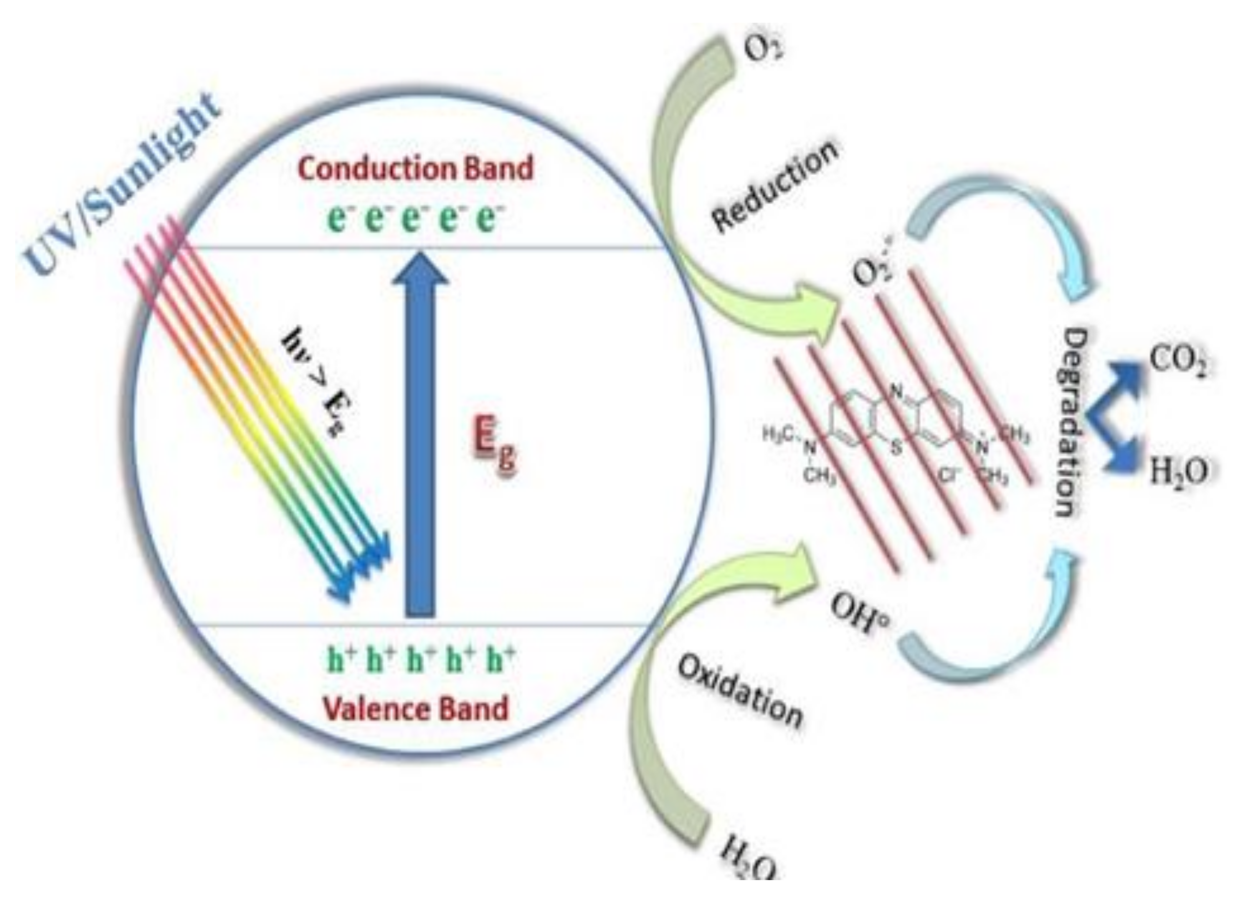 Catalysts 12 00833 g006