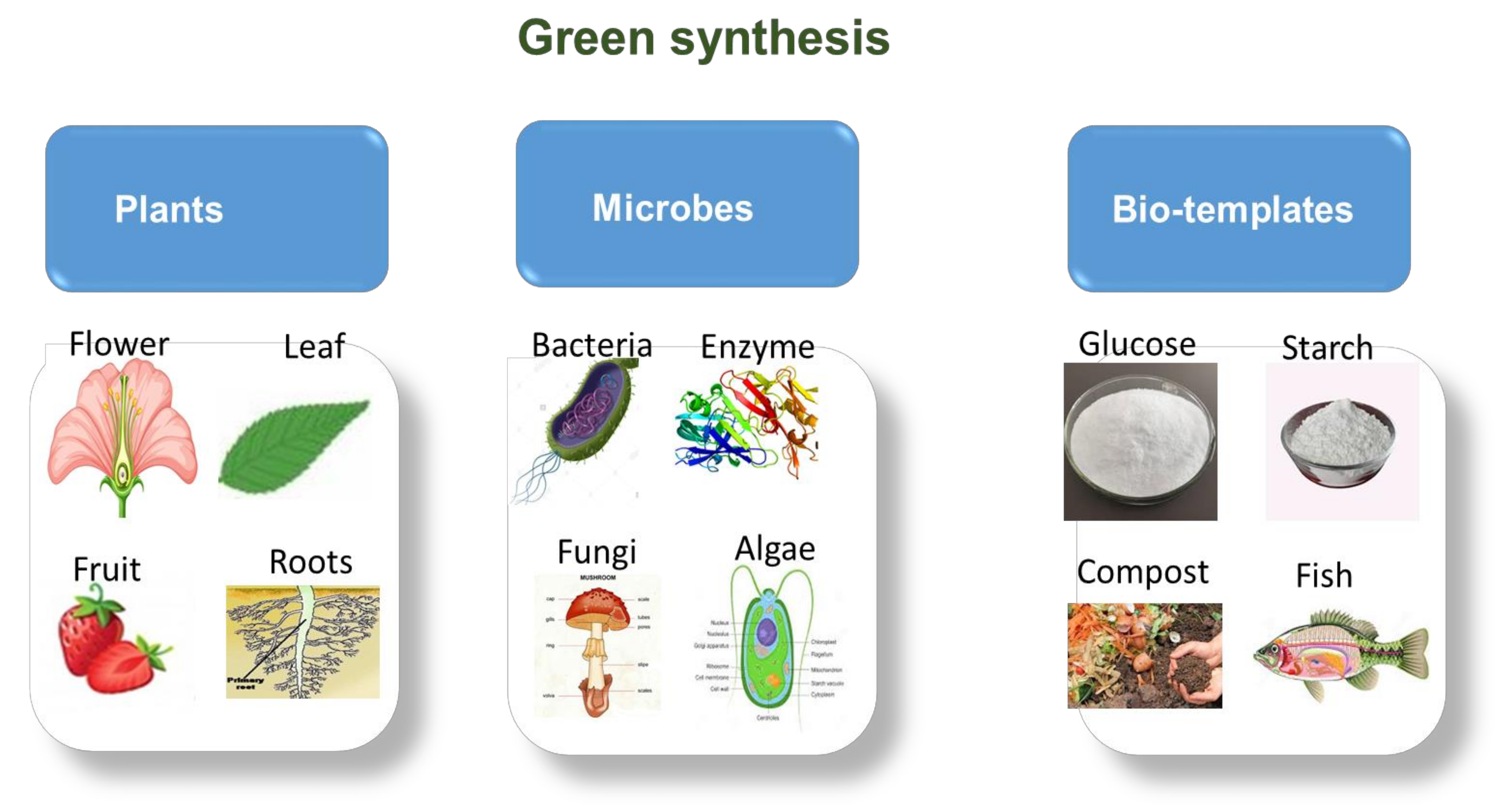 Catalysts 12 00833 g008