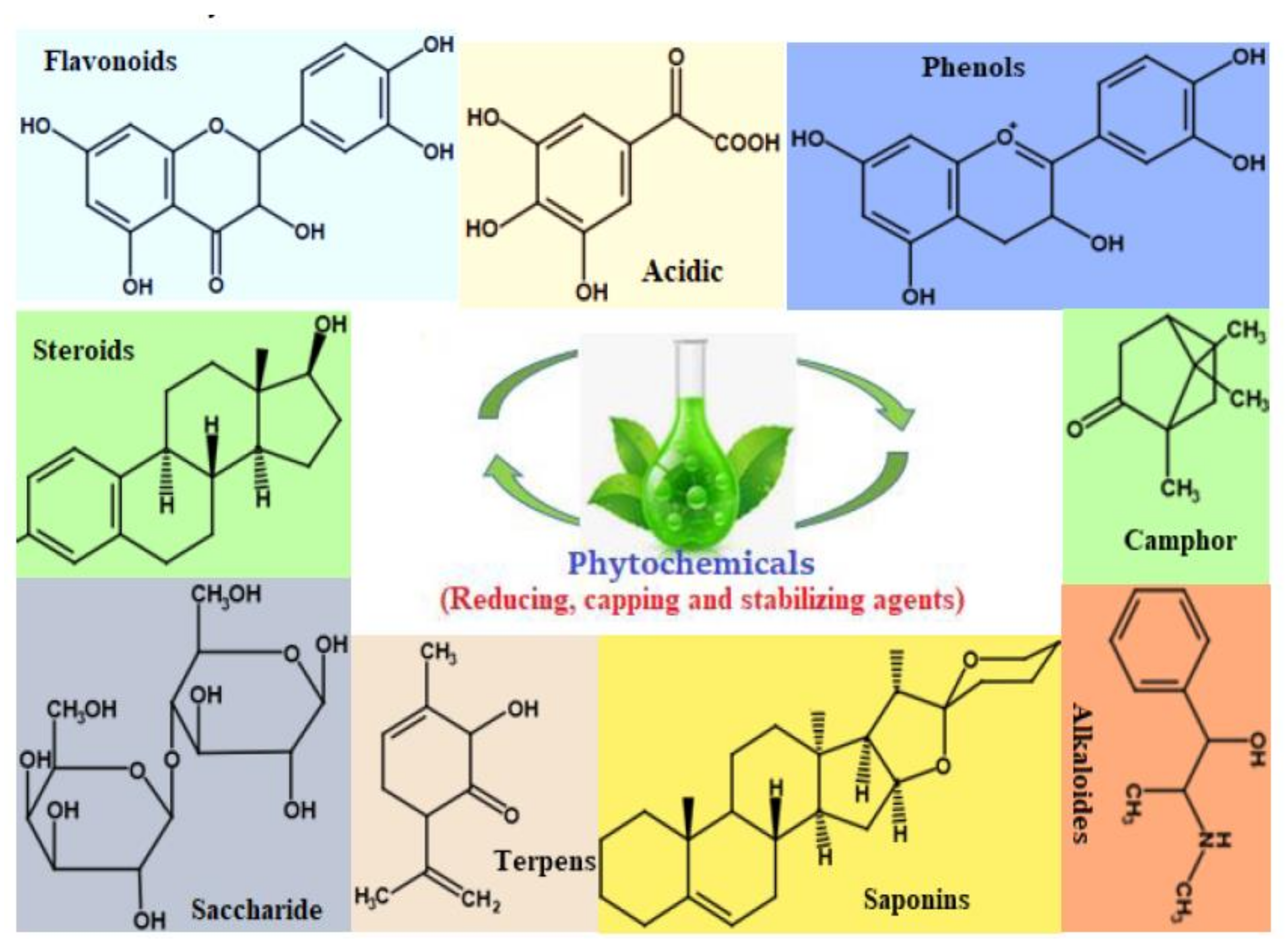 Catalysts 12 00833 g009