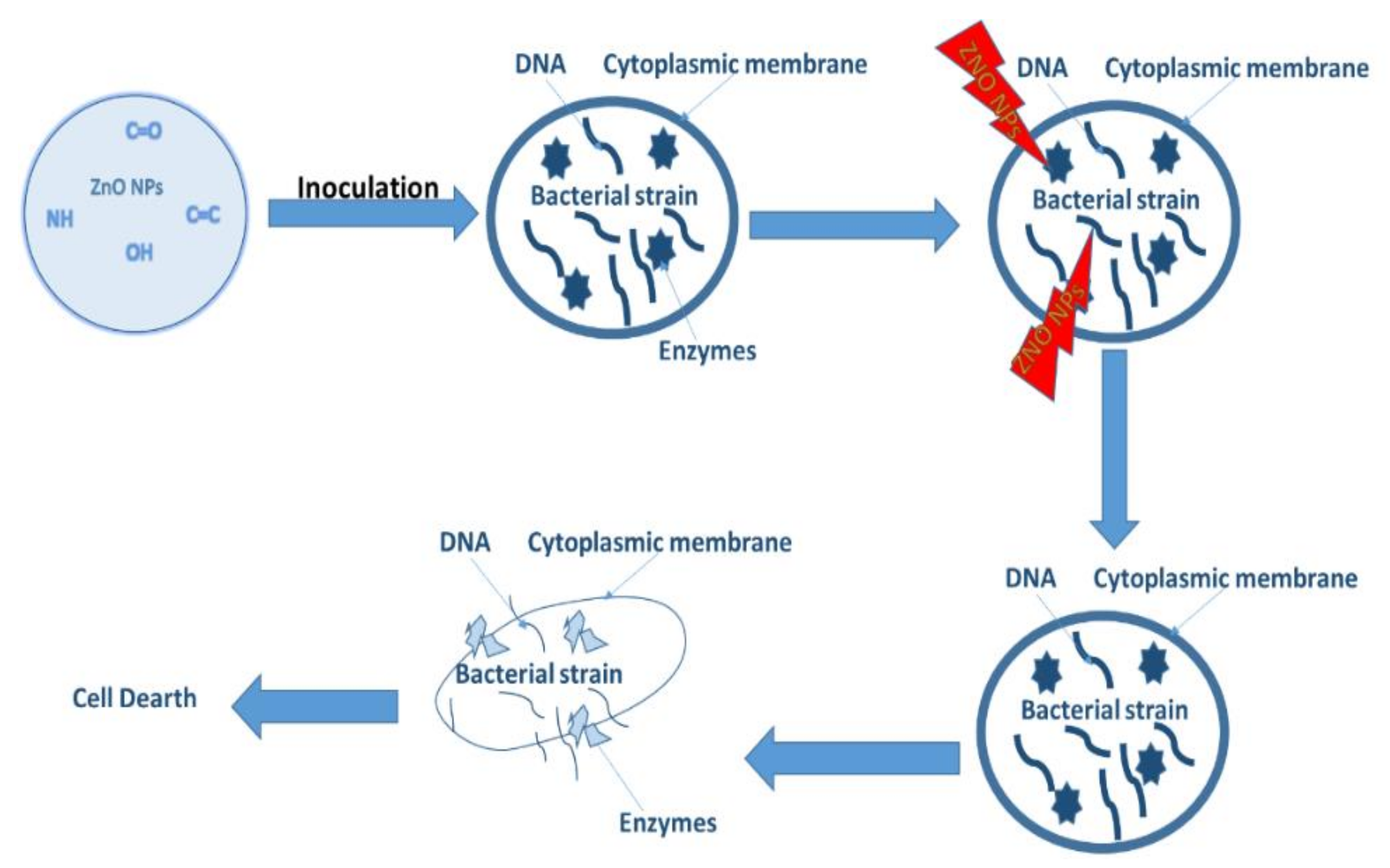 Catalysts 12 00833 g012