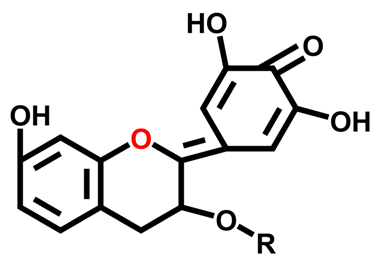 Catalysts 12 00833 i013