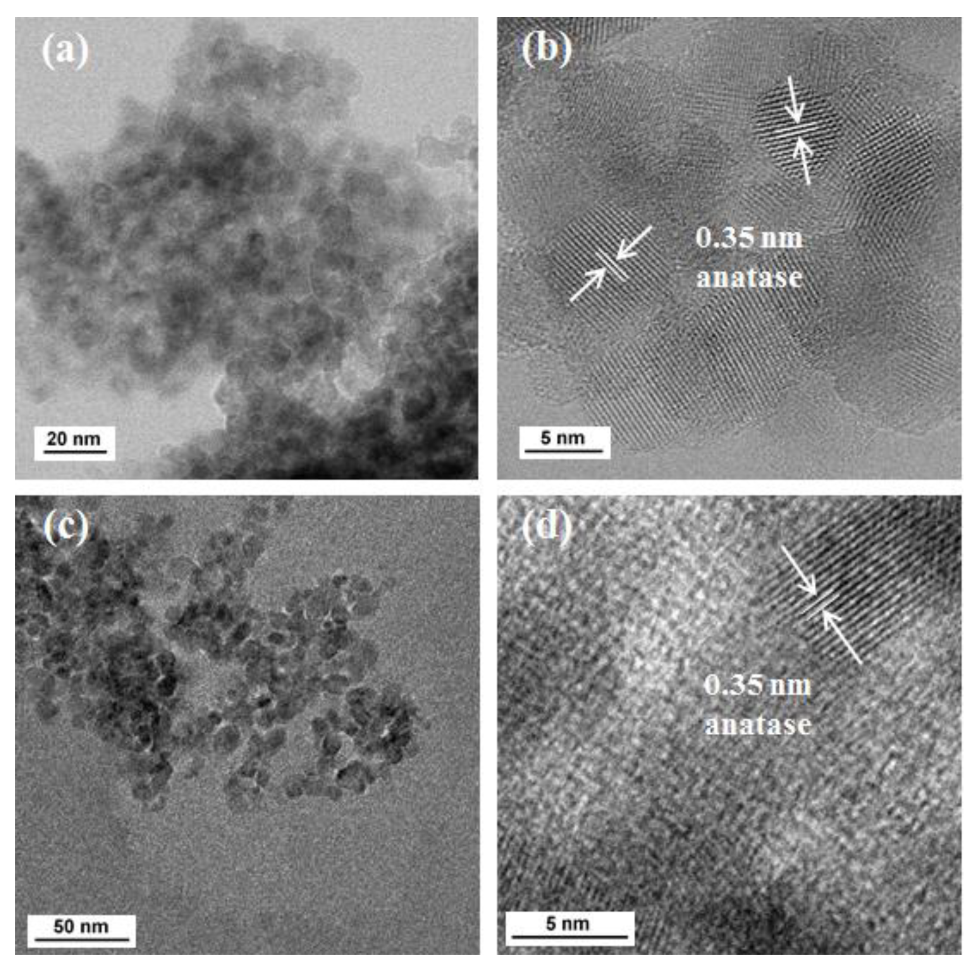 Catalysts 12 00835 g004