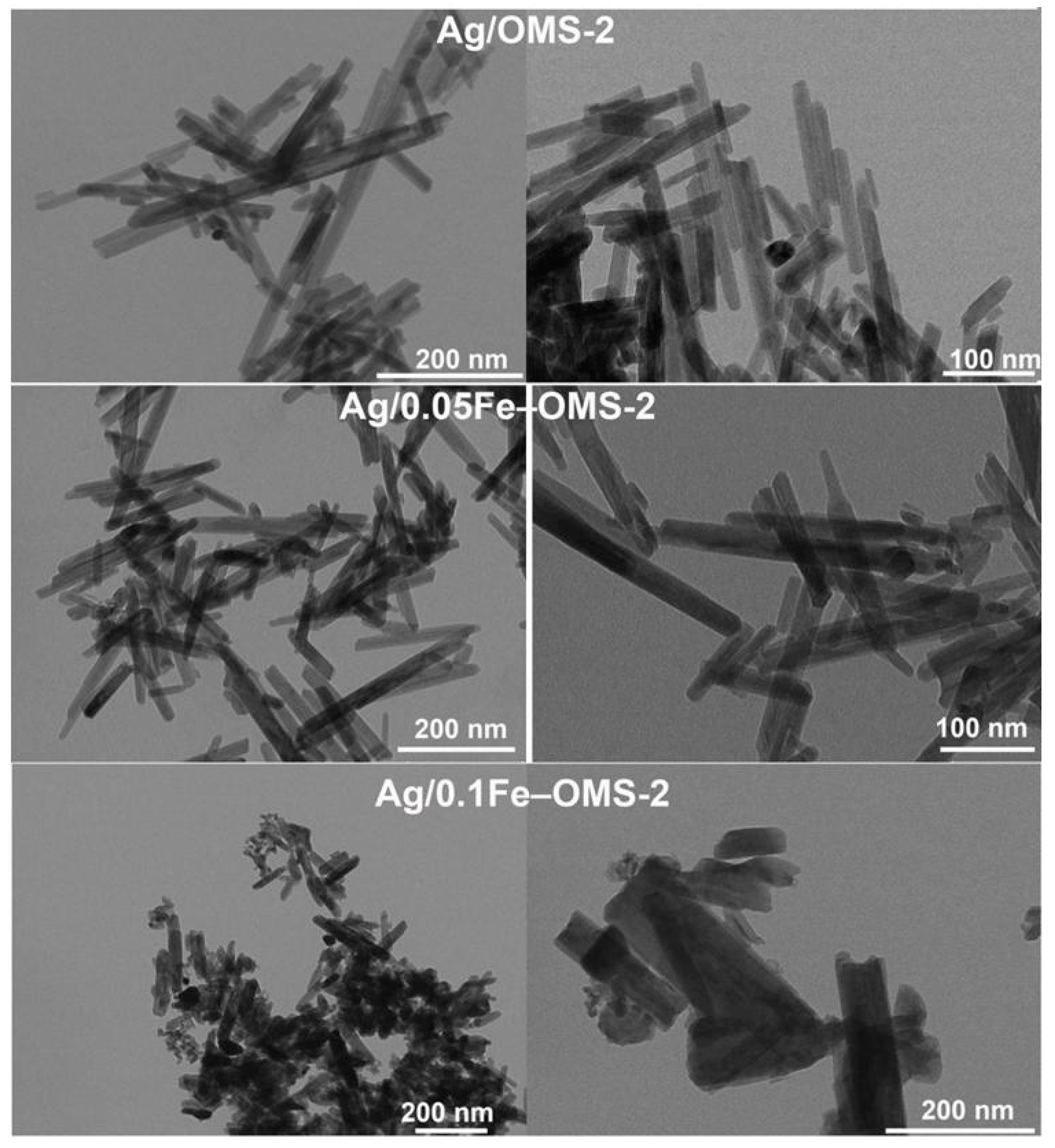 Catalysts 12 00872 g002
