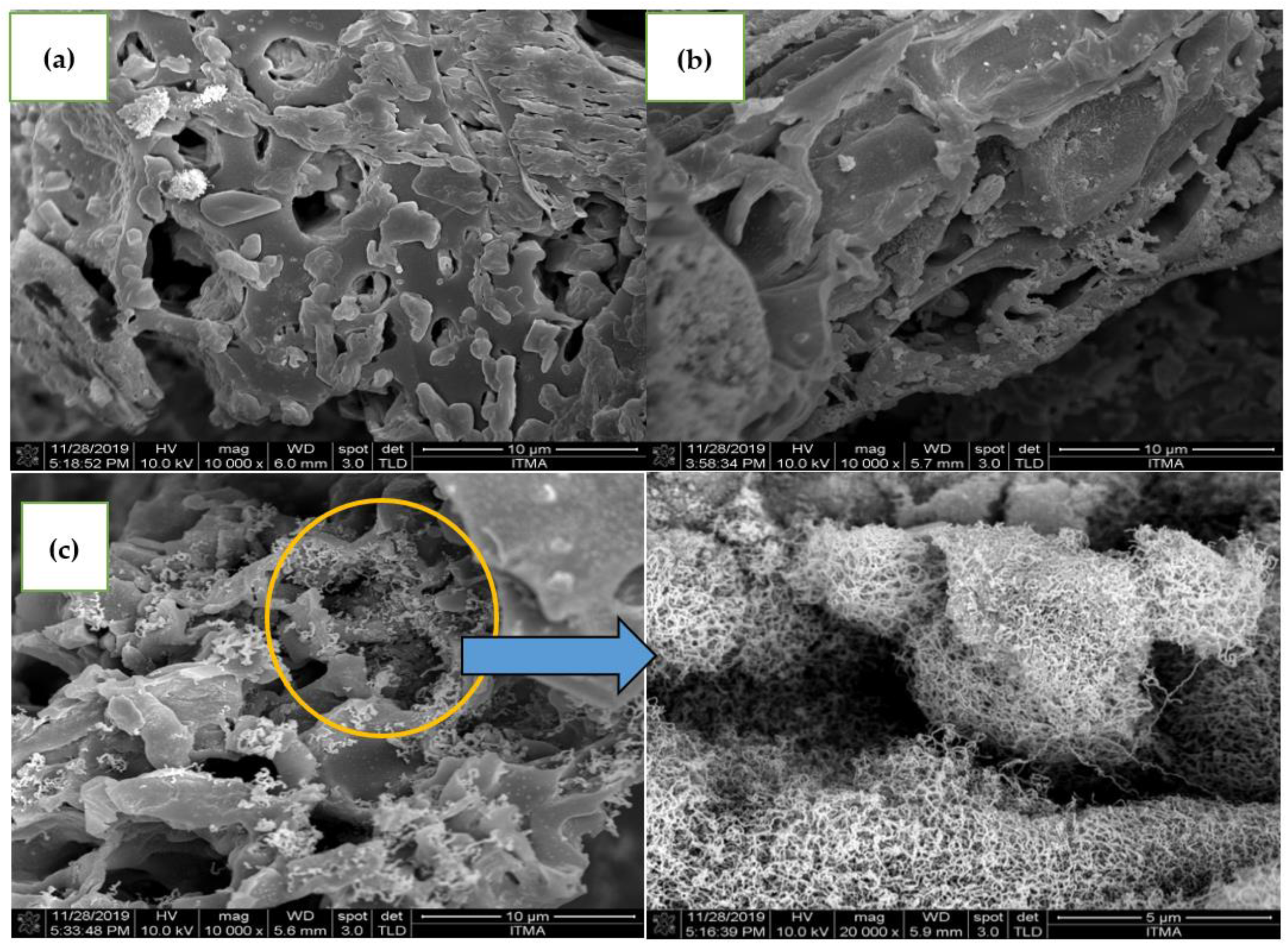 Catalysts 12 00874 g004