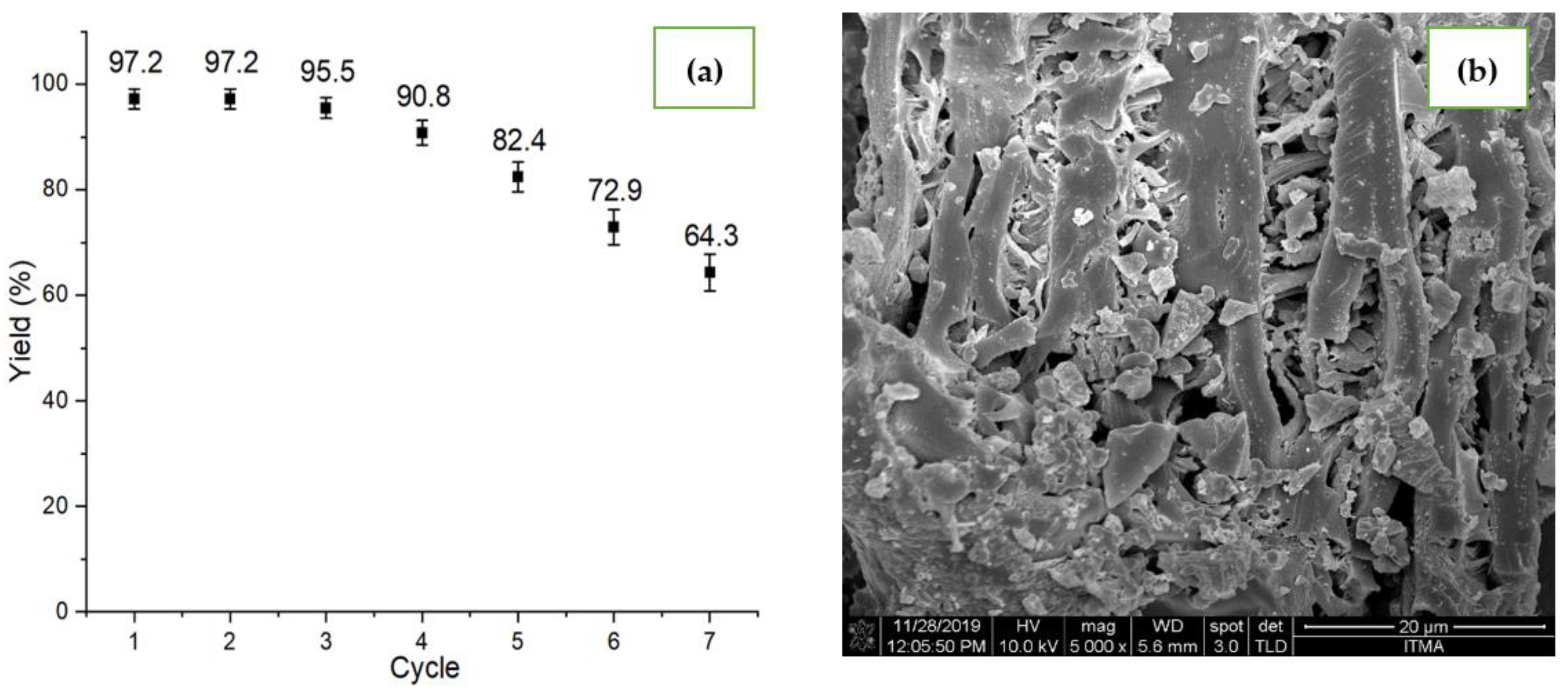 Catalysts 12 00874 g008