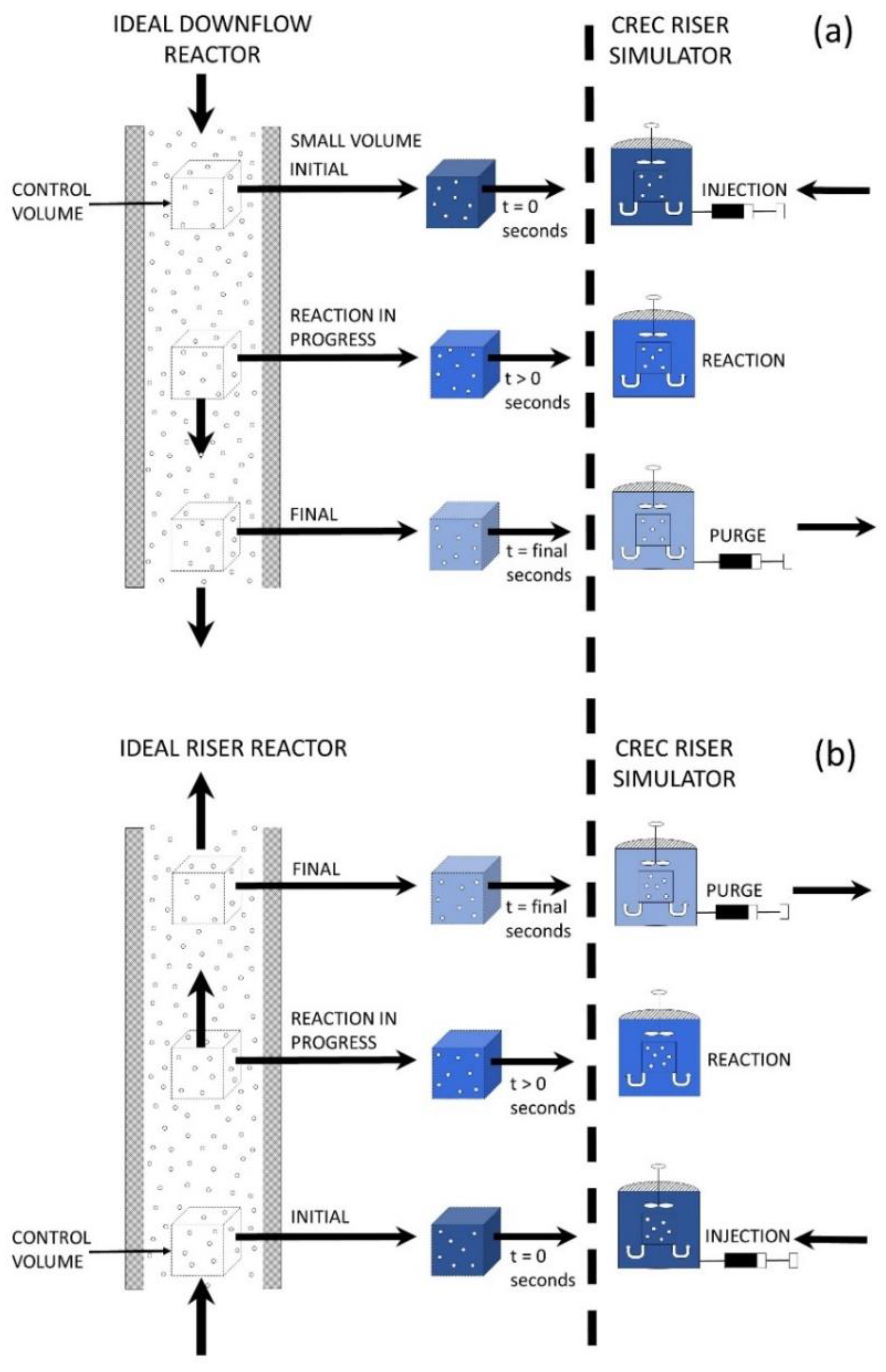 Catalysts 12 00888 g001