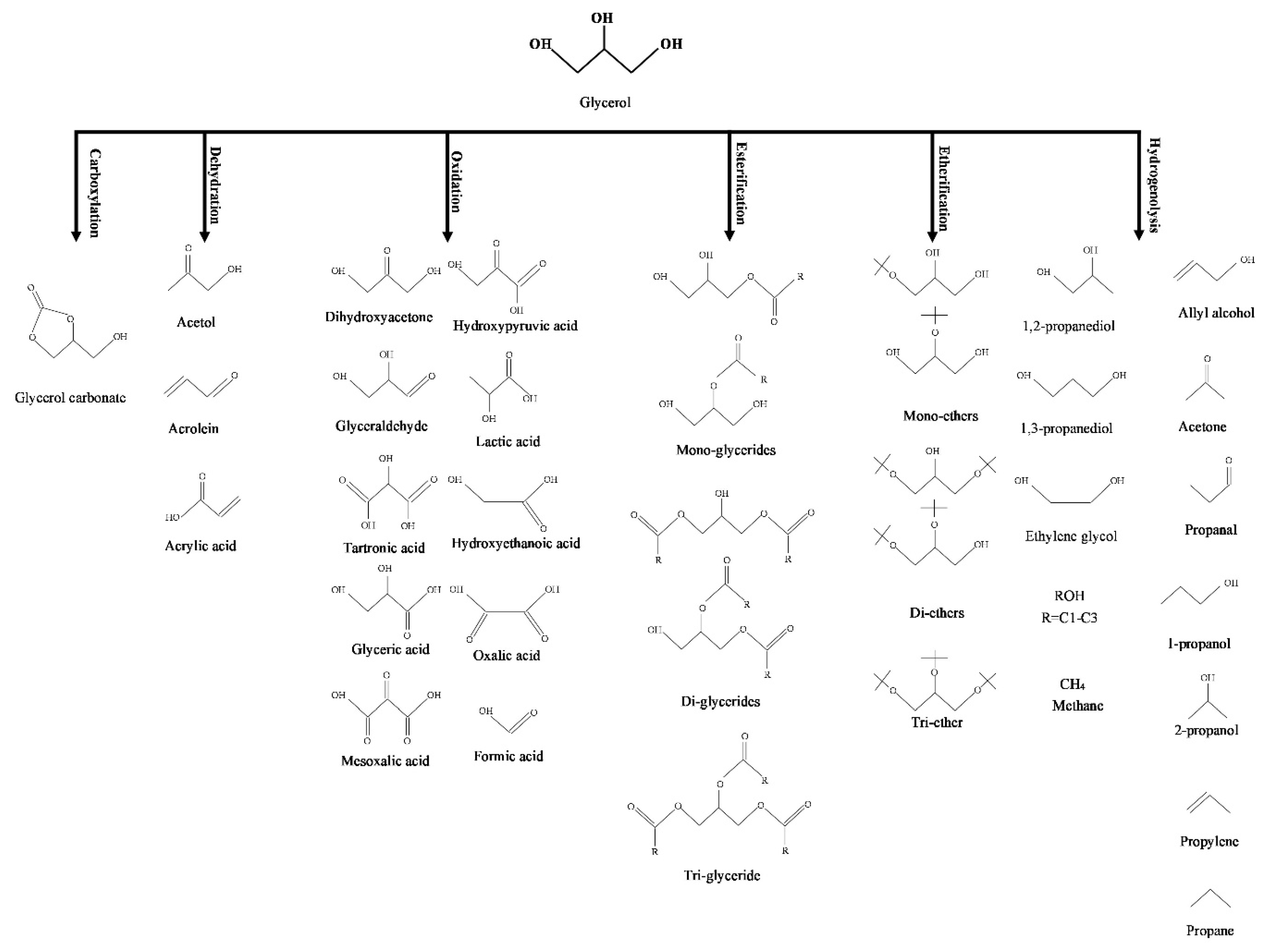 Catalysts 12 00897 g003