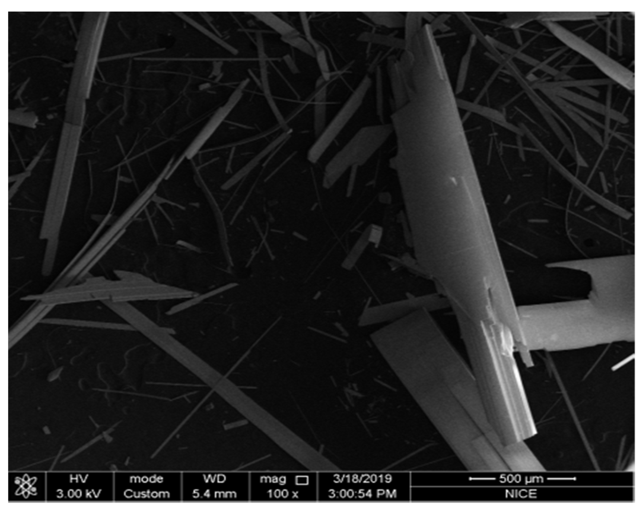 Catalysts 12 00926 g004