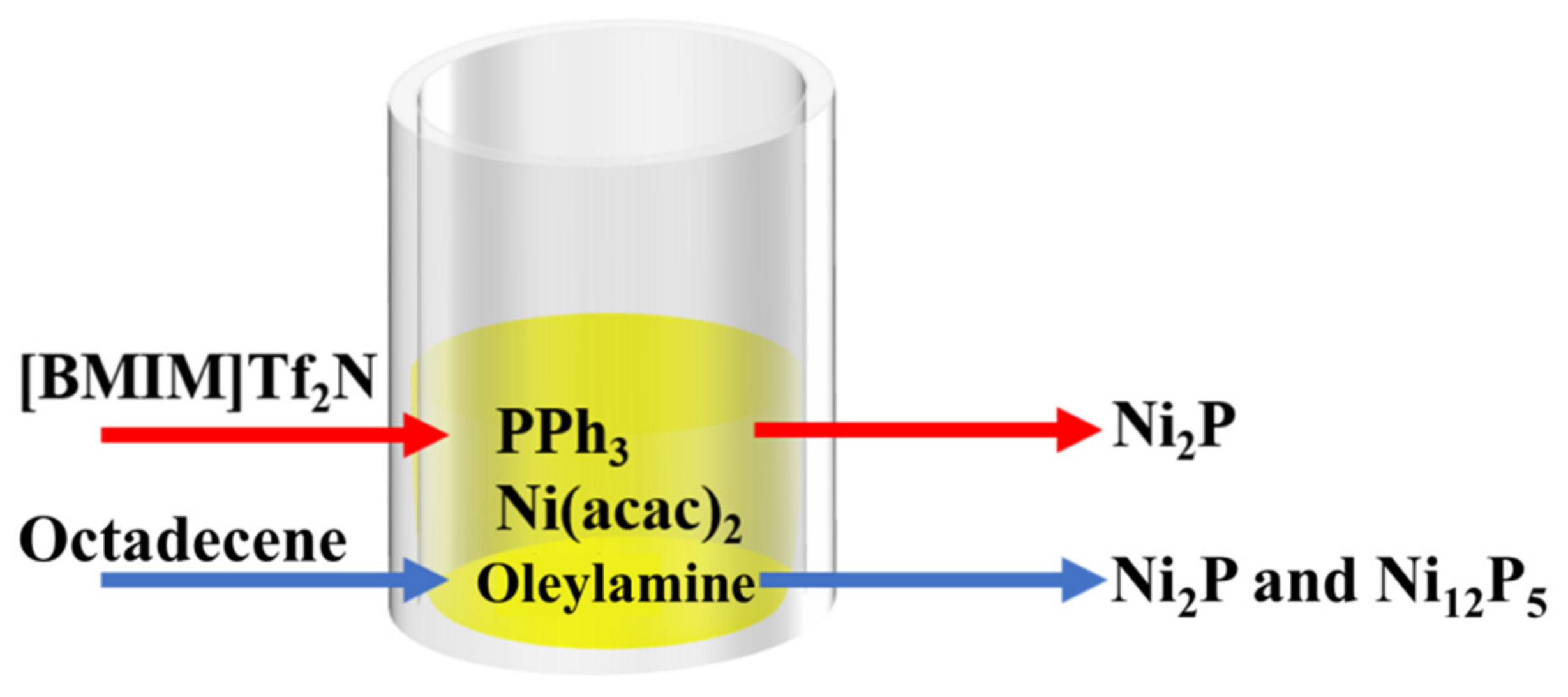 Catalysts 12 00928 g002