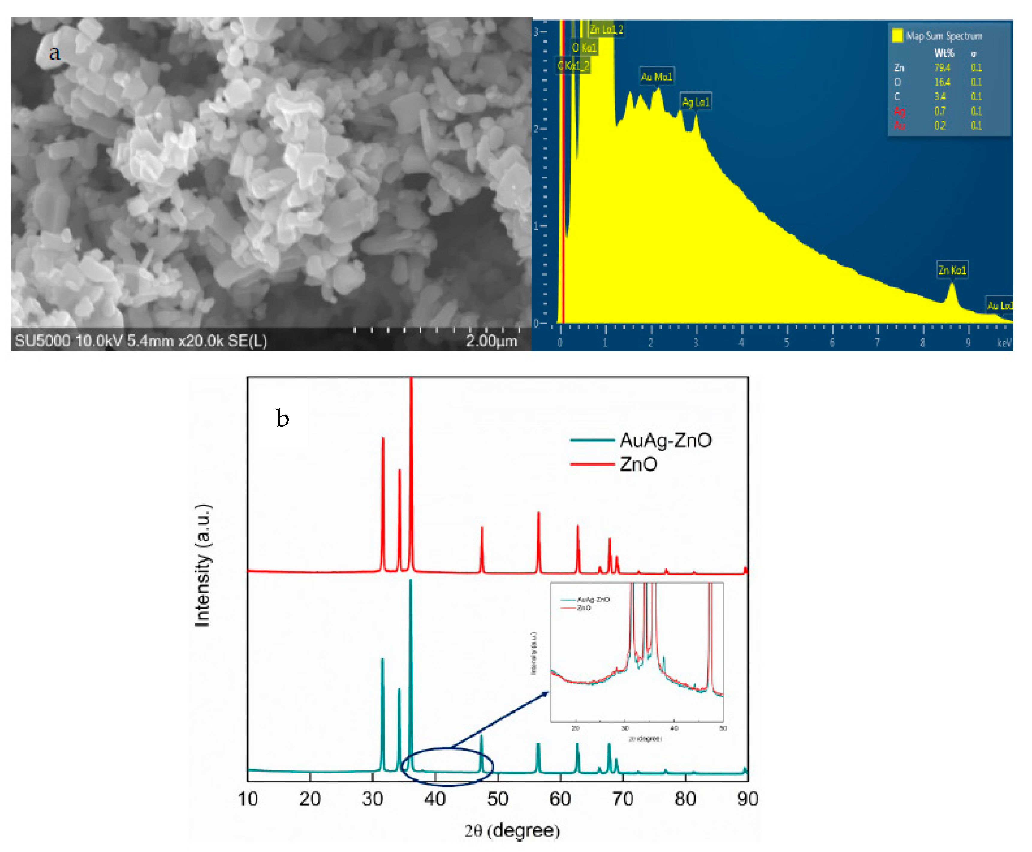 Catalysts 12 00939 g001