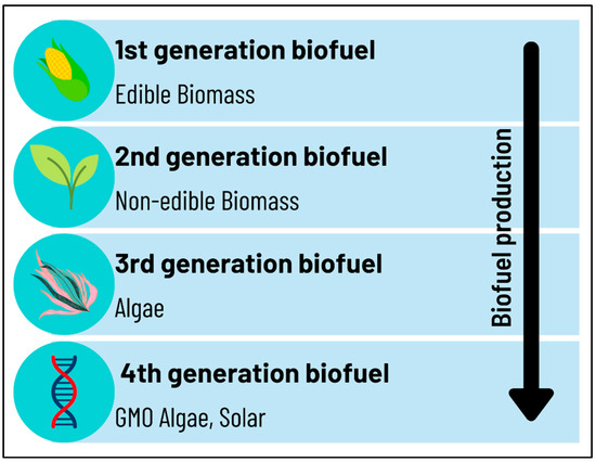Biodiesel – Nic Tenaga Keterbaharuan