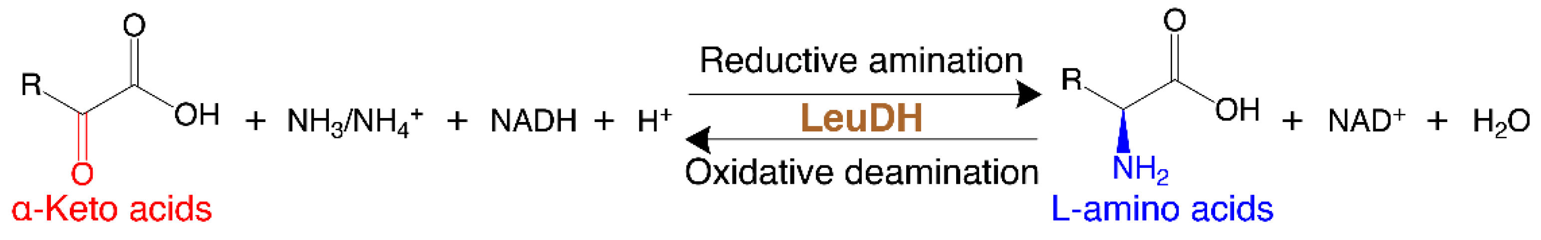 Catalysts 12 00971 g001
