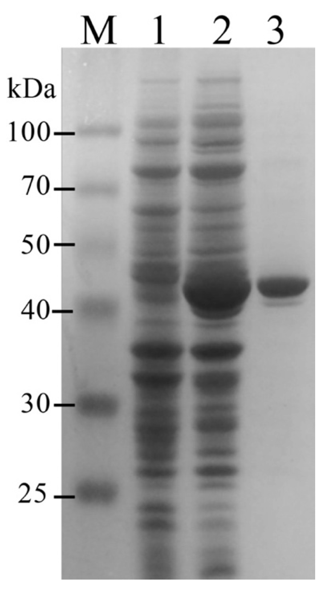 Catalysts 12 00971 g003