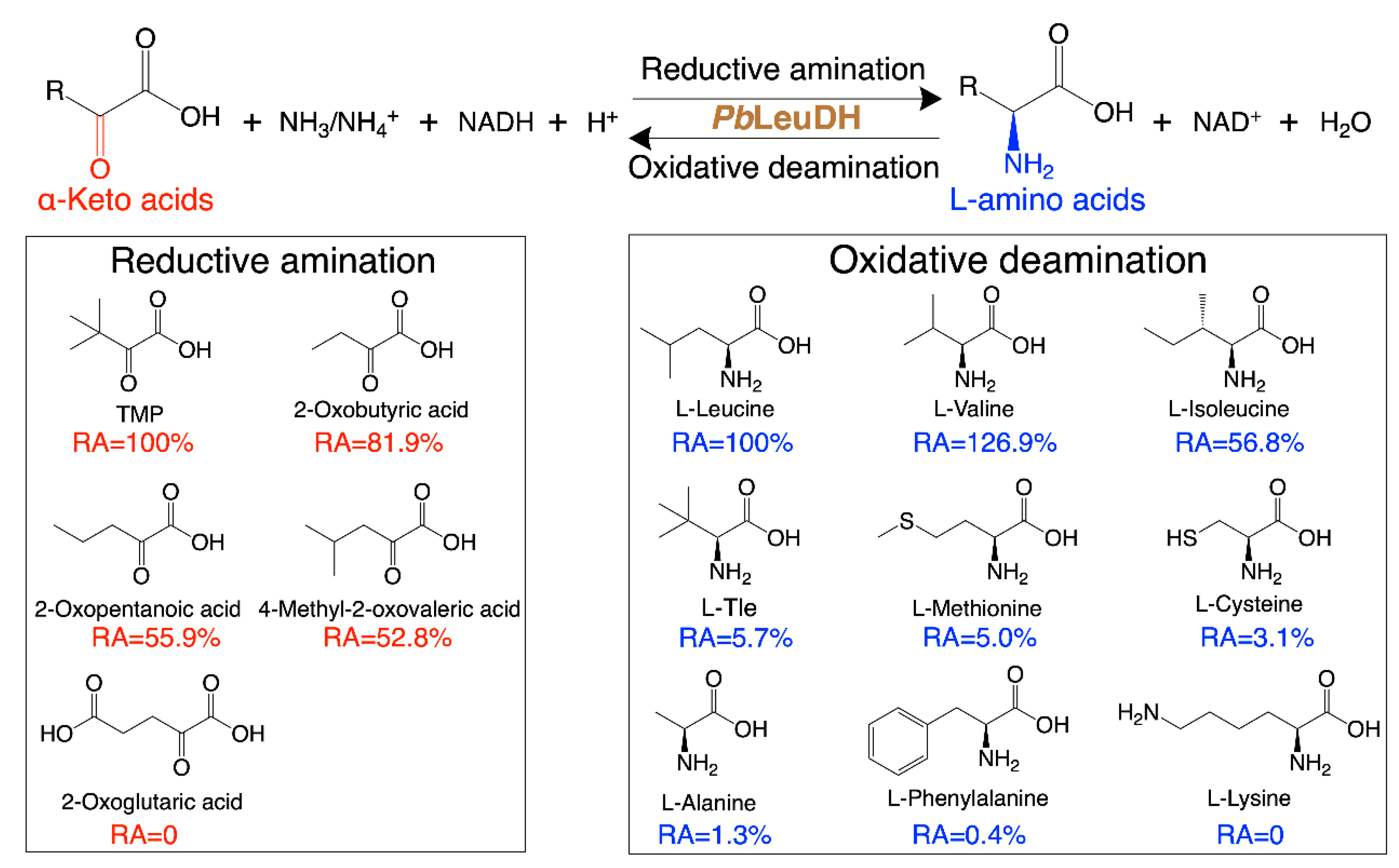 Catalysts 12 00971 g005