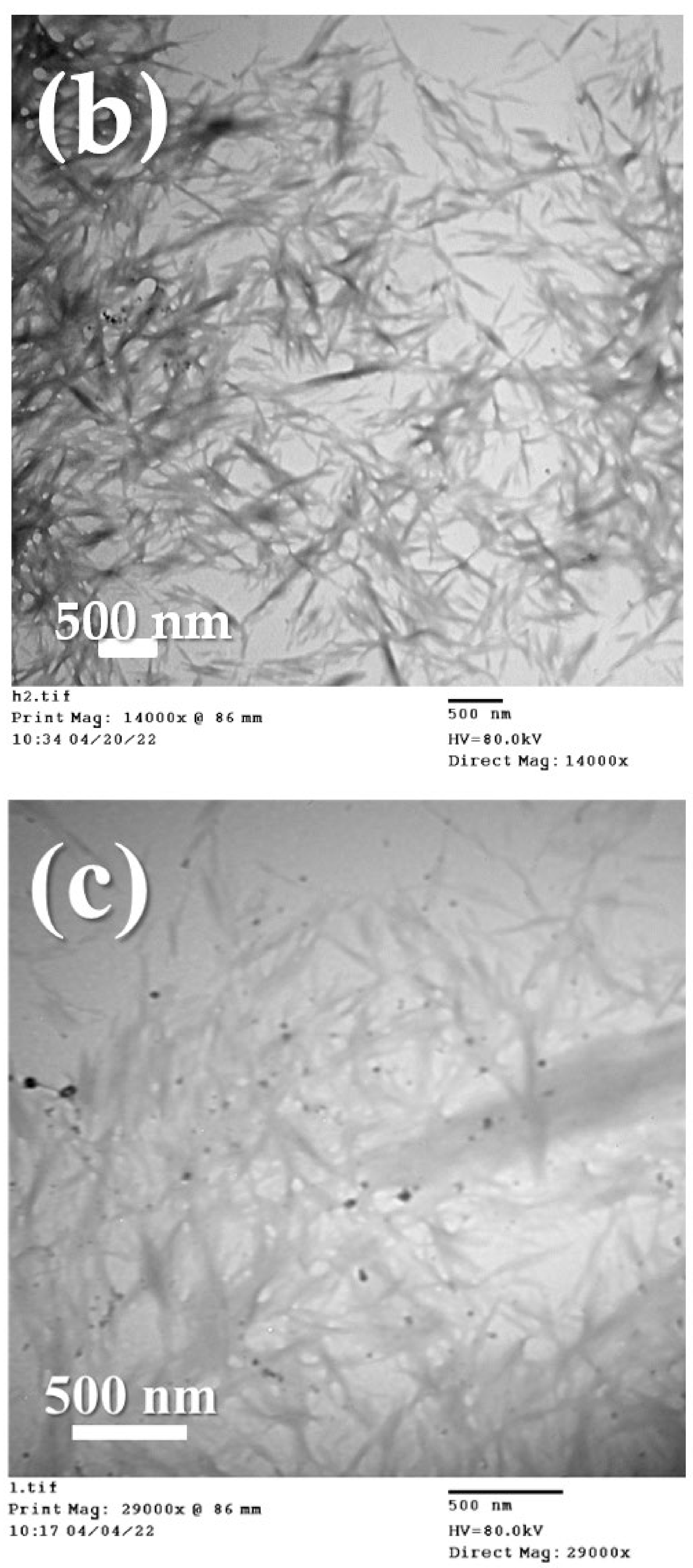 Catalysts 12 00977 g002b