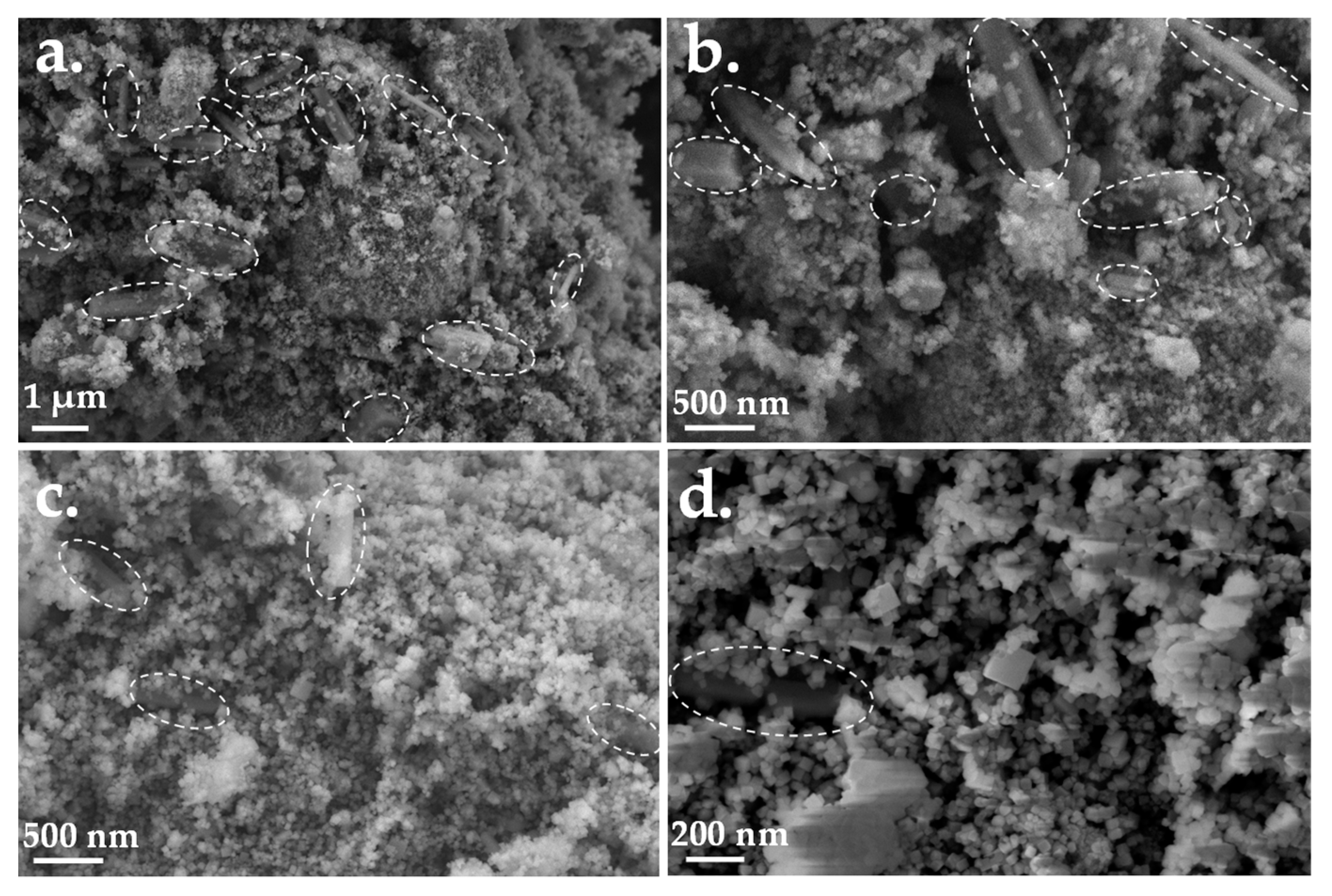 Catalysts 12 00978 g003