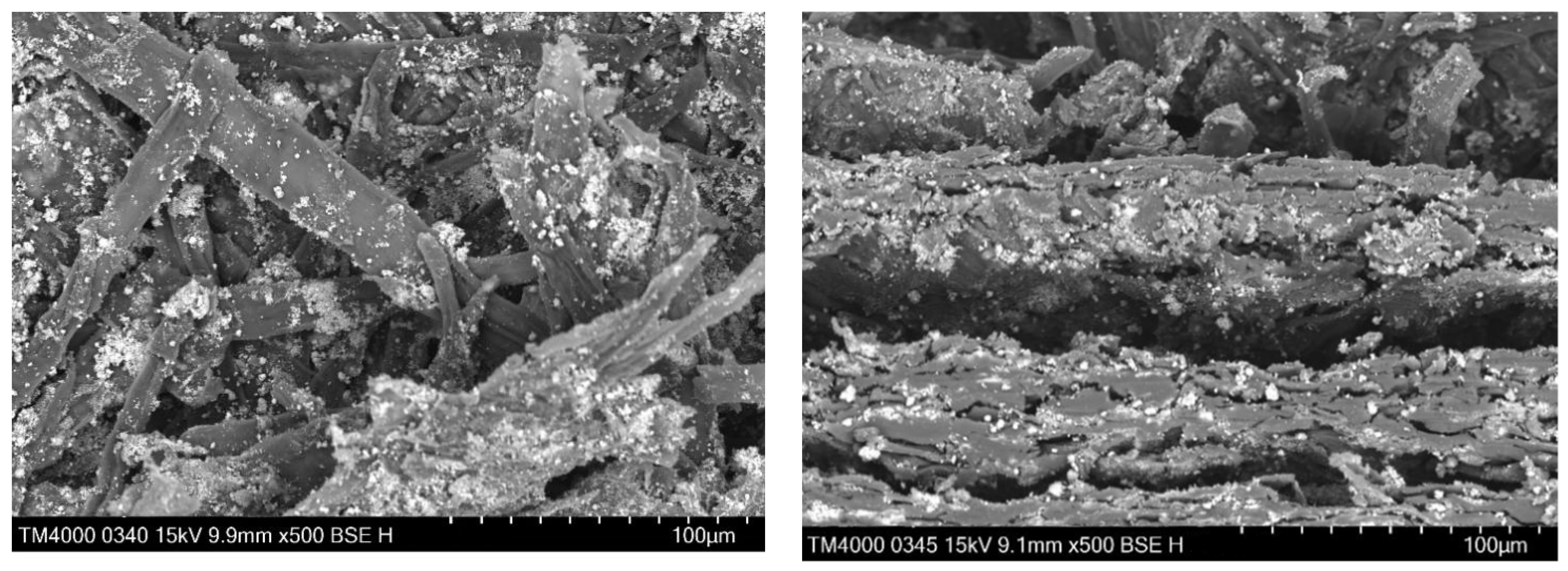 Catalysts 12 01003 g002