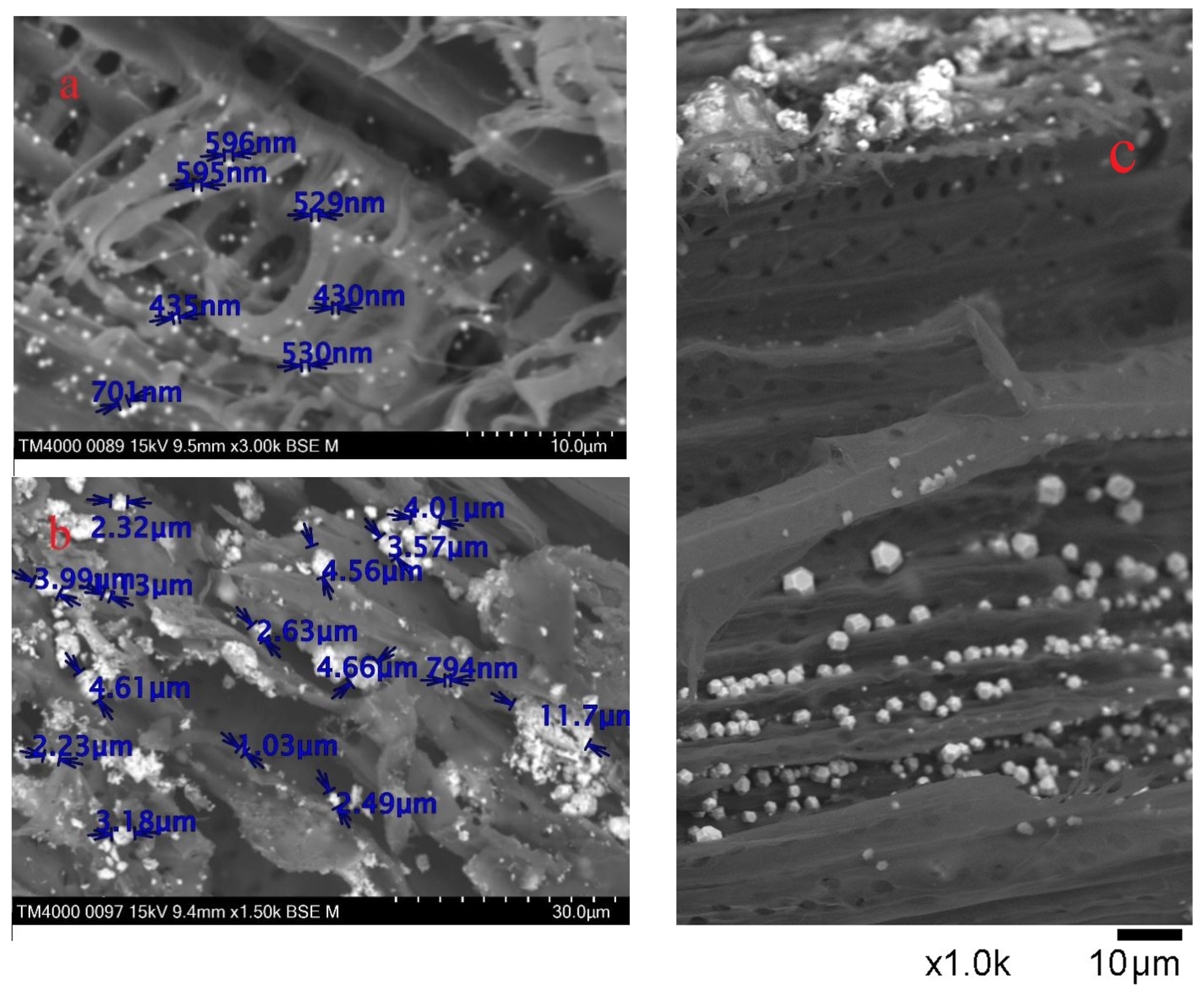 Catalysts 12 01003 g003
