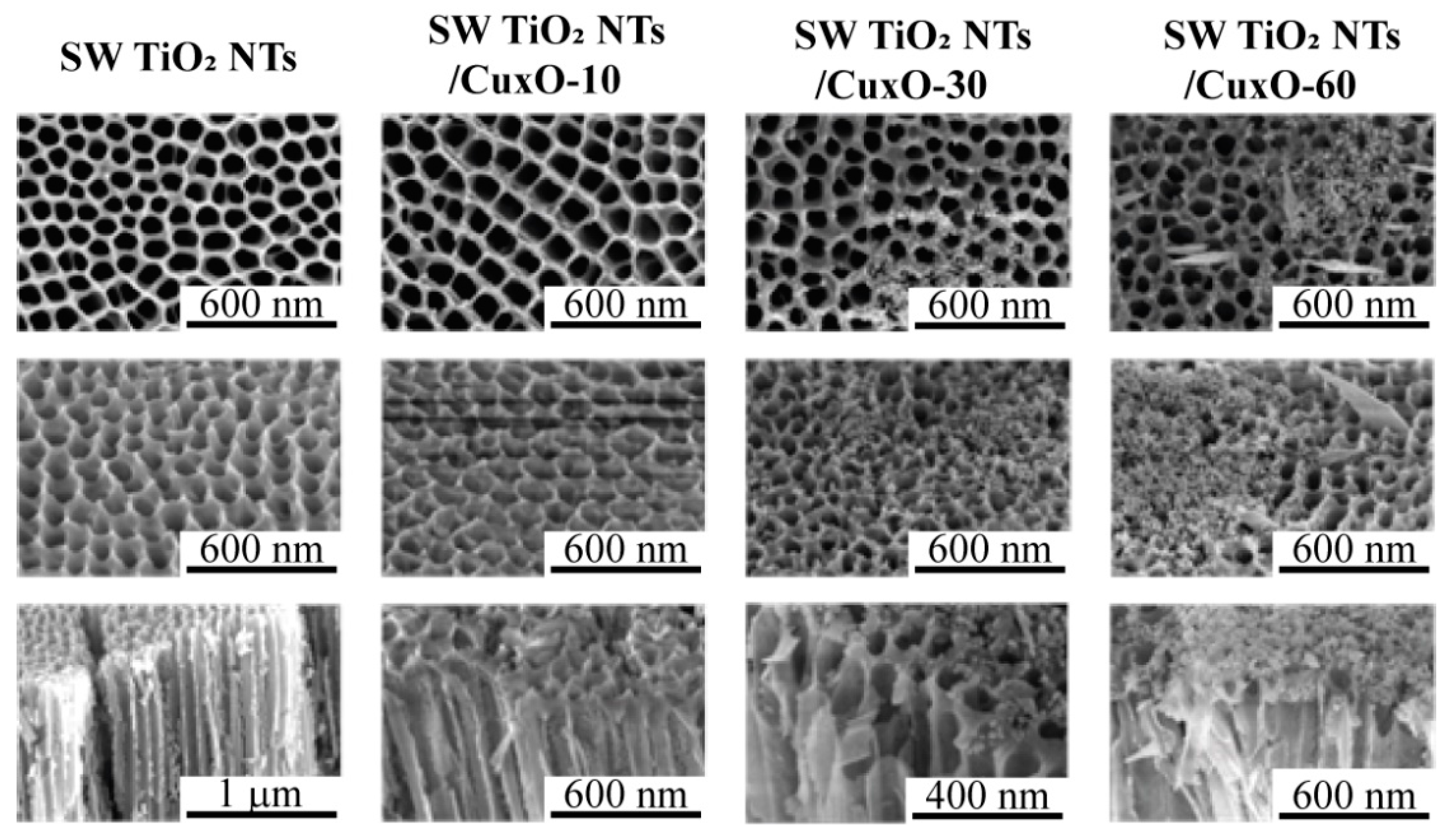 Catalysts 12 01011 g001