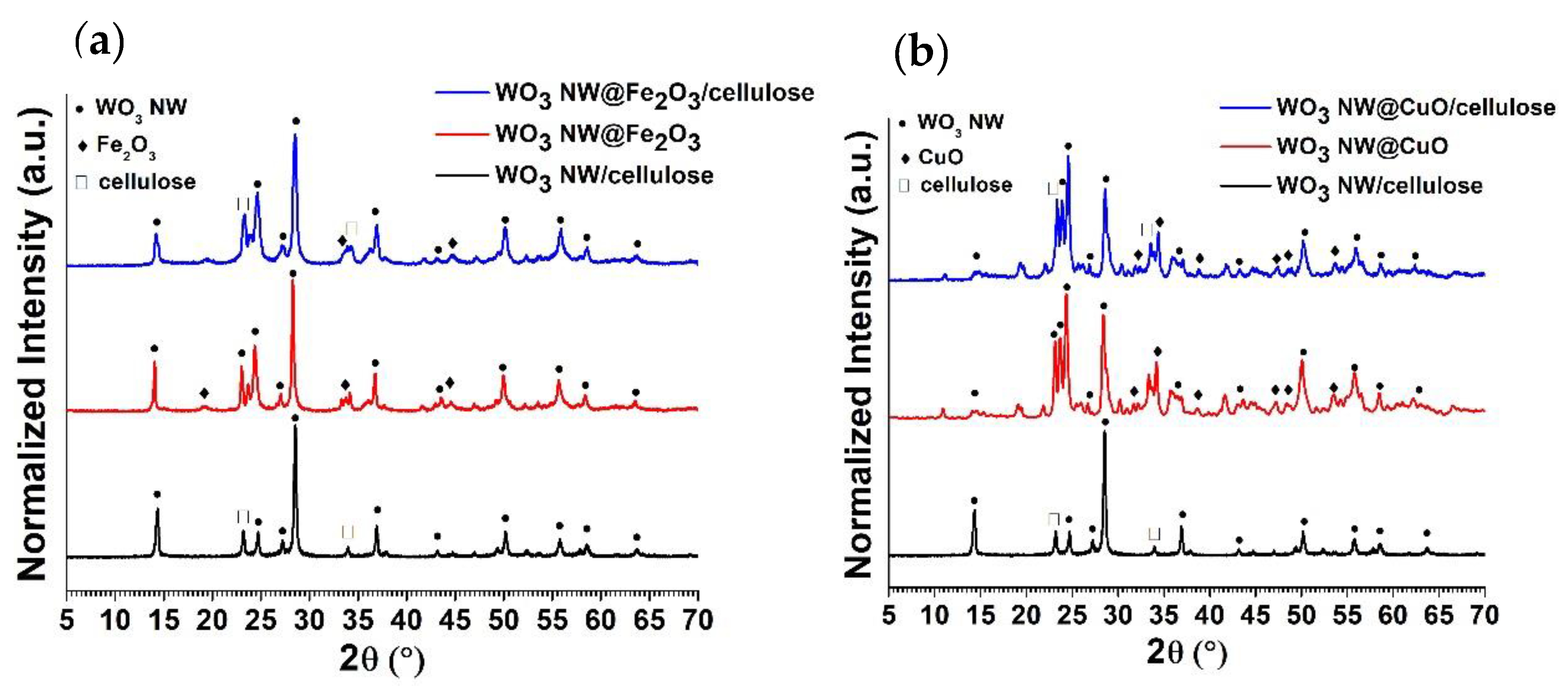 Catalysts 12 01029 g005