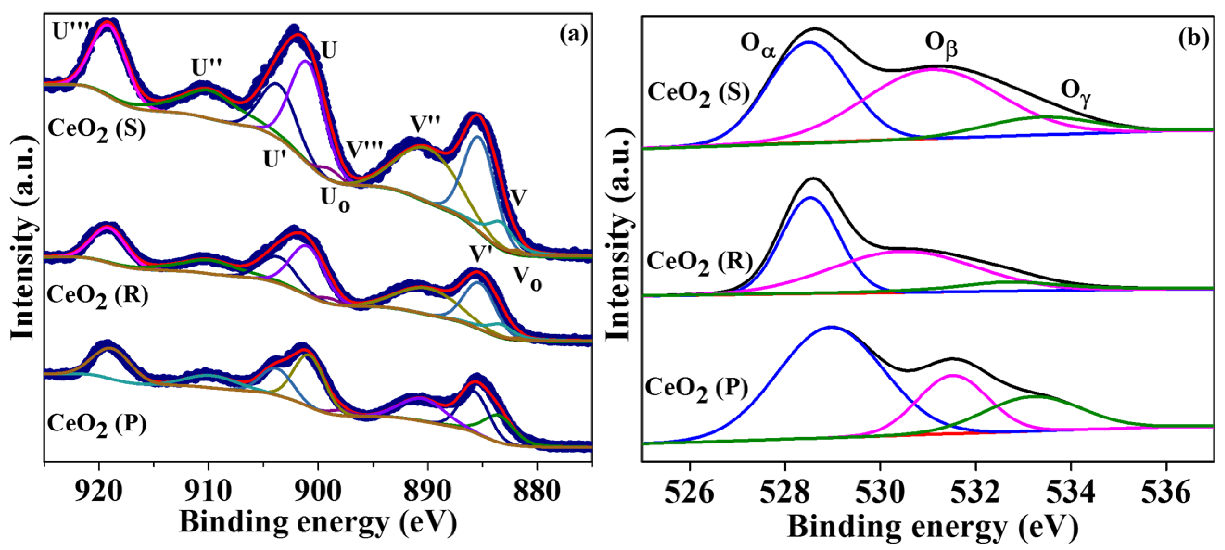 Catalysts 12 01034 g005