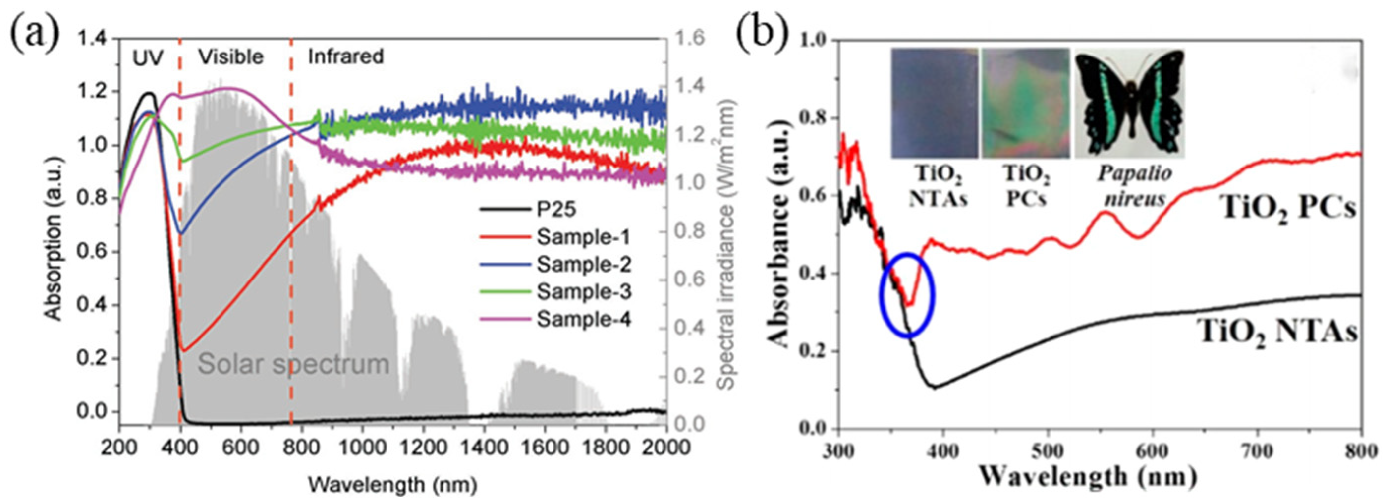 Catalysts 12 01042 g008