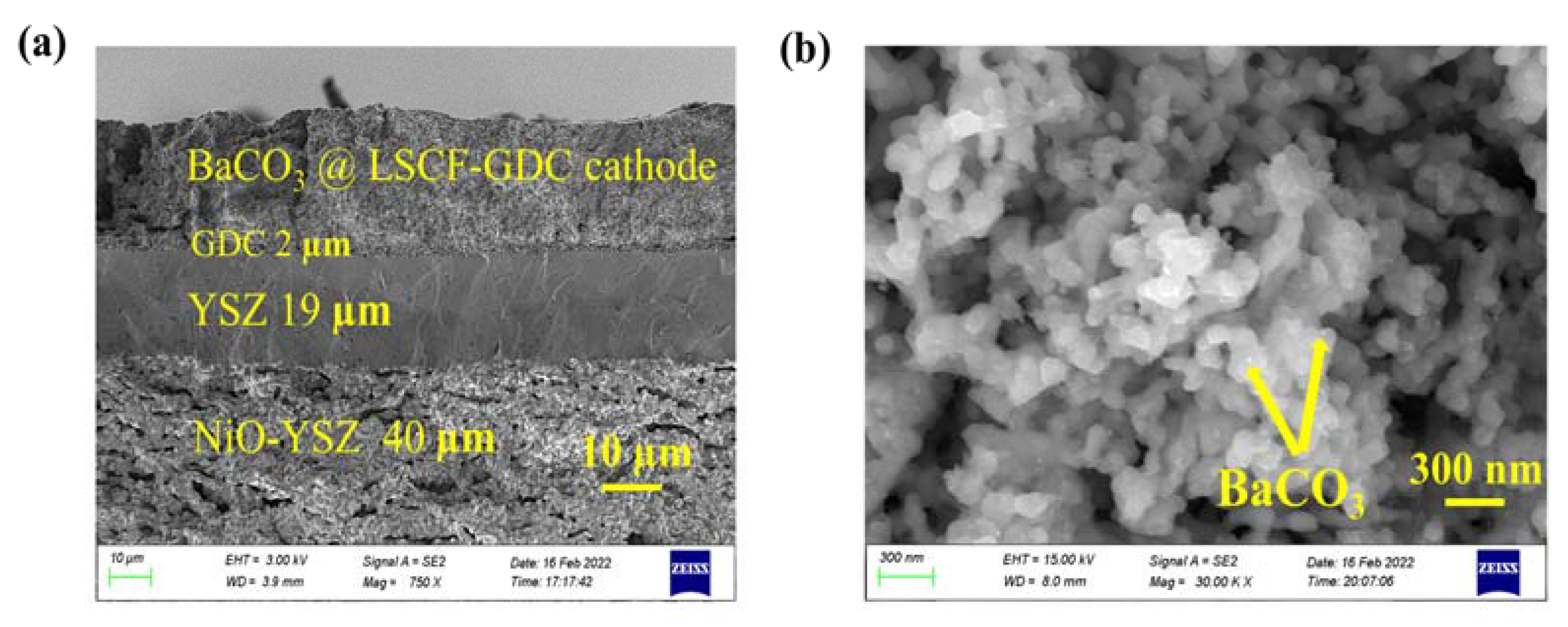 Catalysts 12 01046 g003