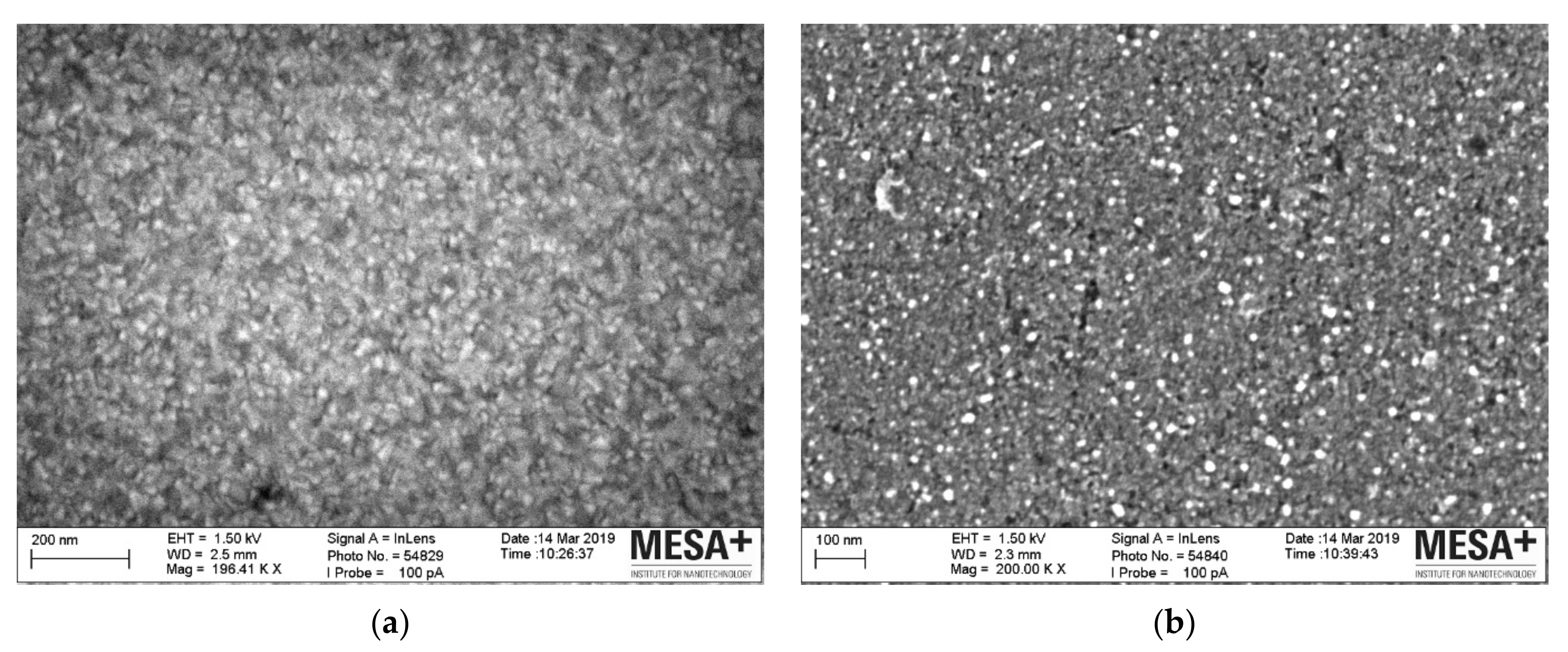 Catalysts 12 01077 g001 Catalysts 12 01077 g001