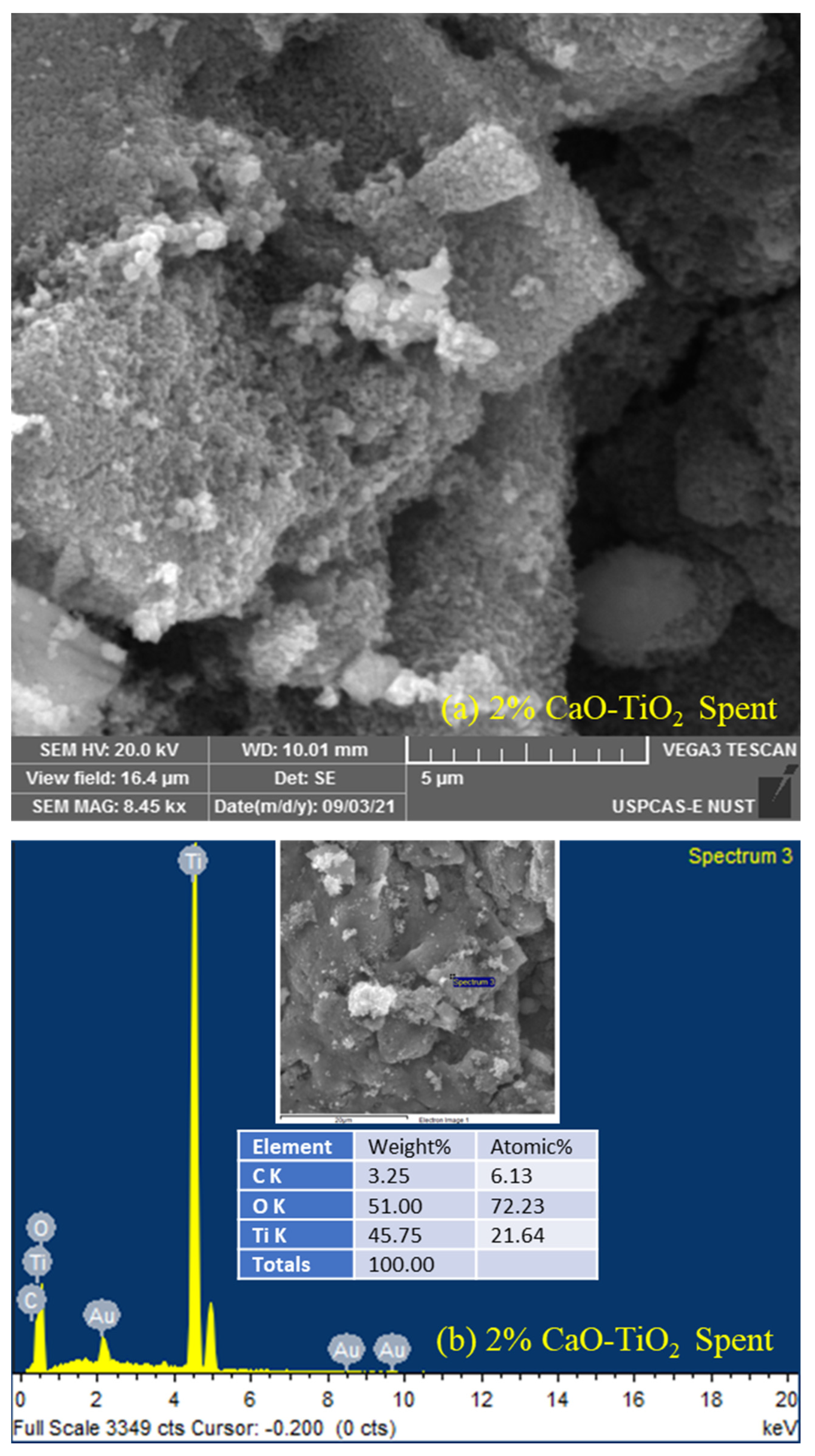 Catalysts 12 01089 g009