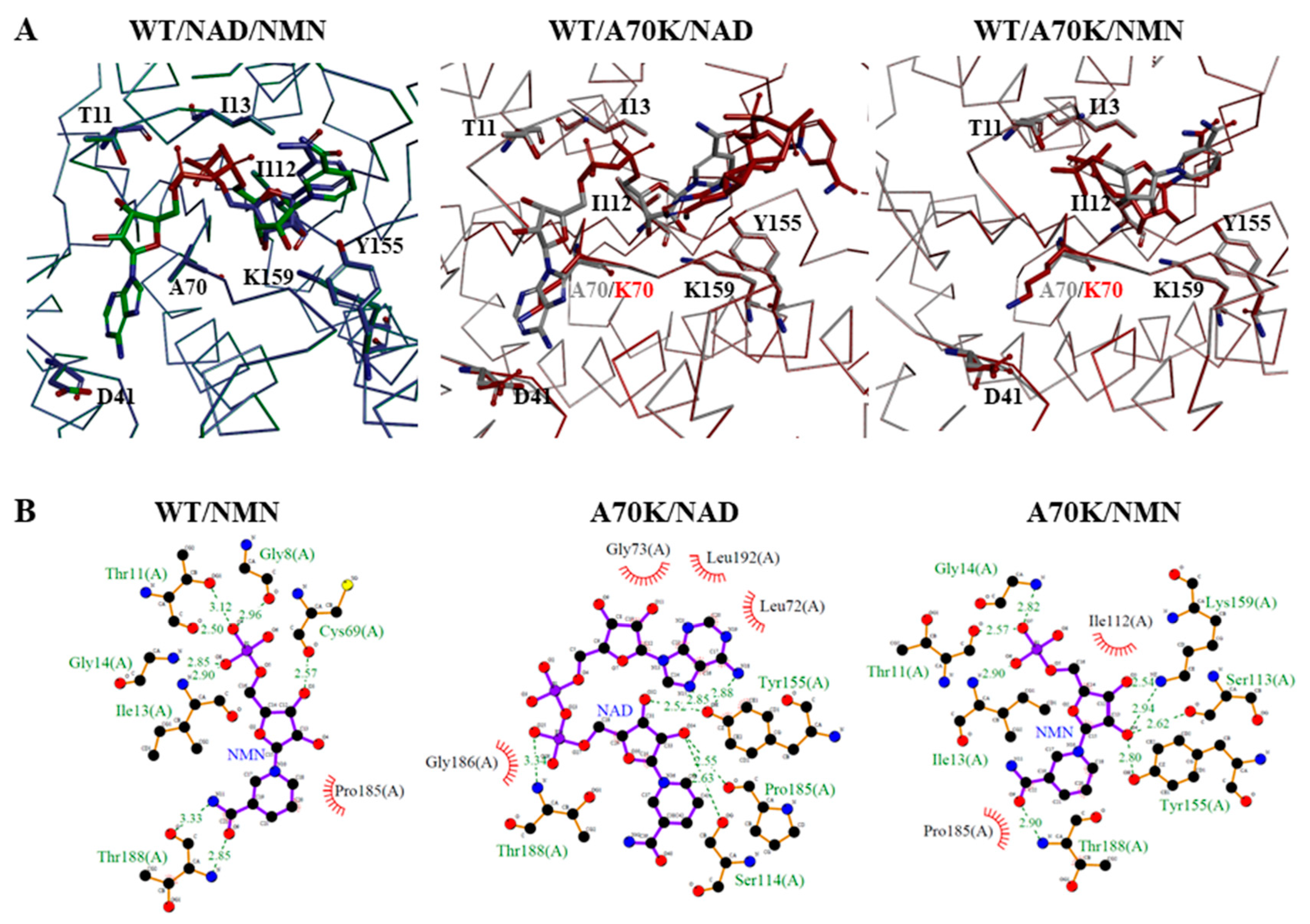 Catalysts 12 01094 g009