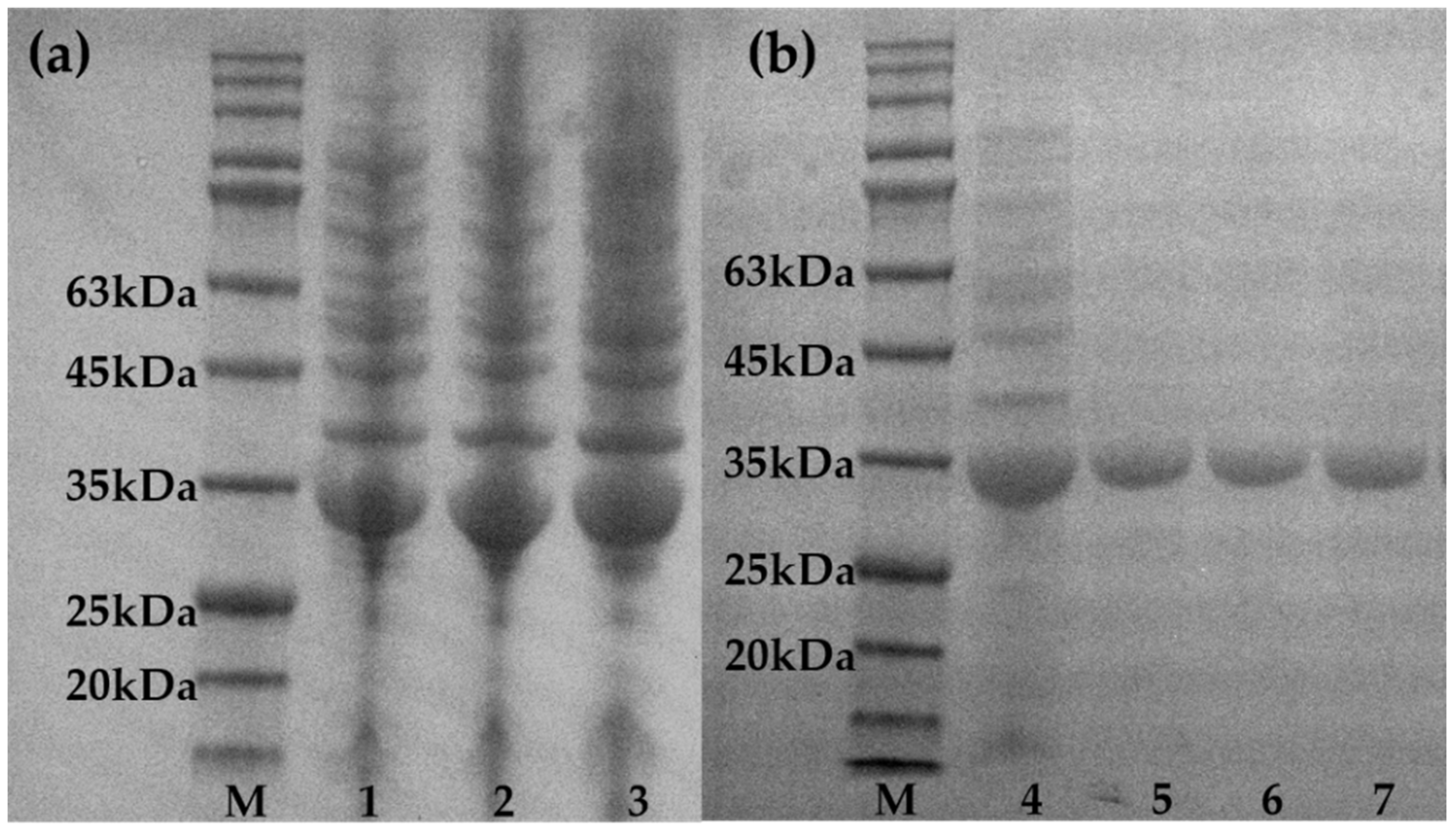 Catalysts Free Full Text Enhanced Thermal Stability Of Polyphosphate Dependent Glucomannokinase By Directed Evolution Html