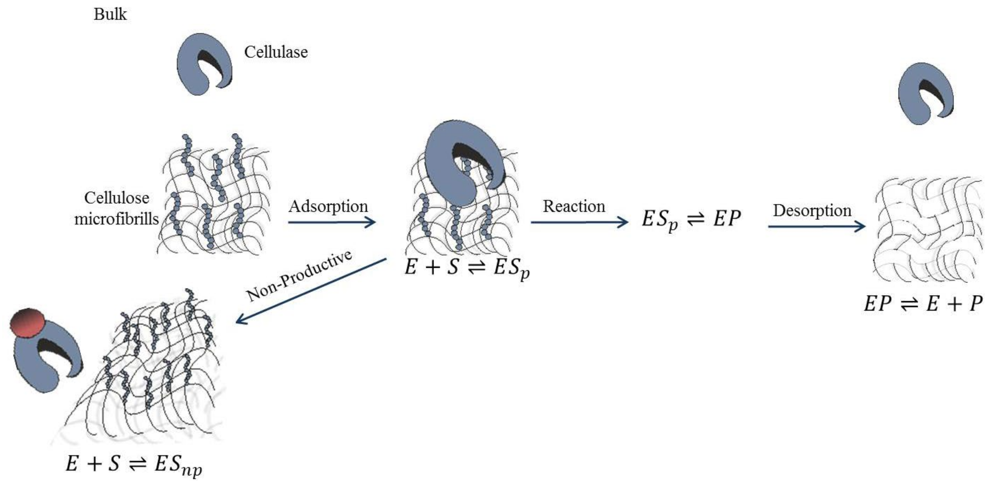 Catalysts 12 01121 g004 550