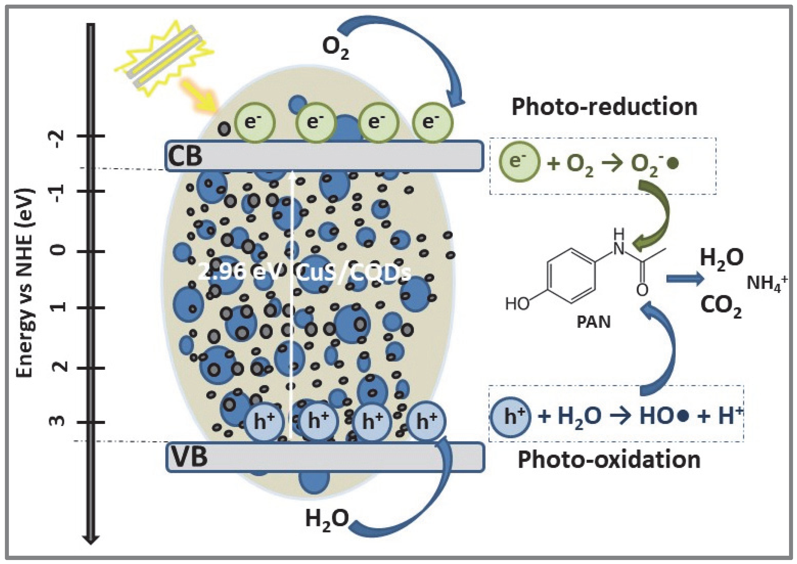 Catalysts 12 01135 g005 Catalysts 12 01135 g005