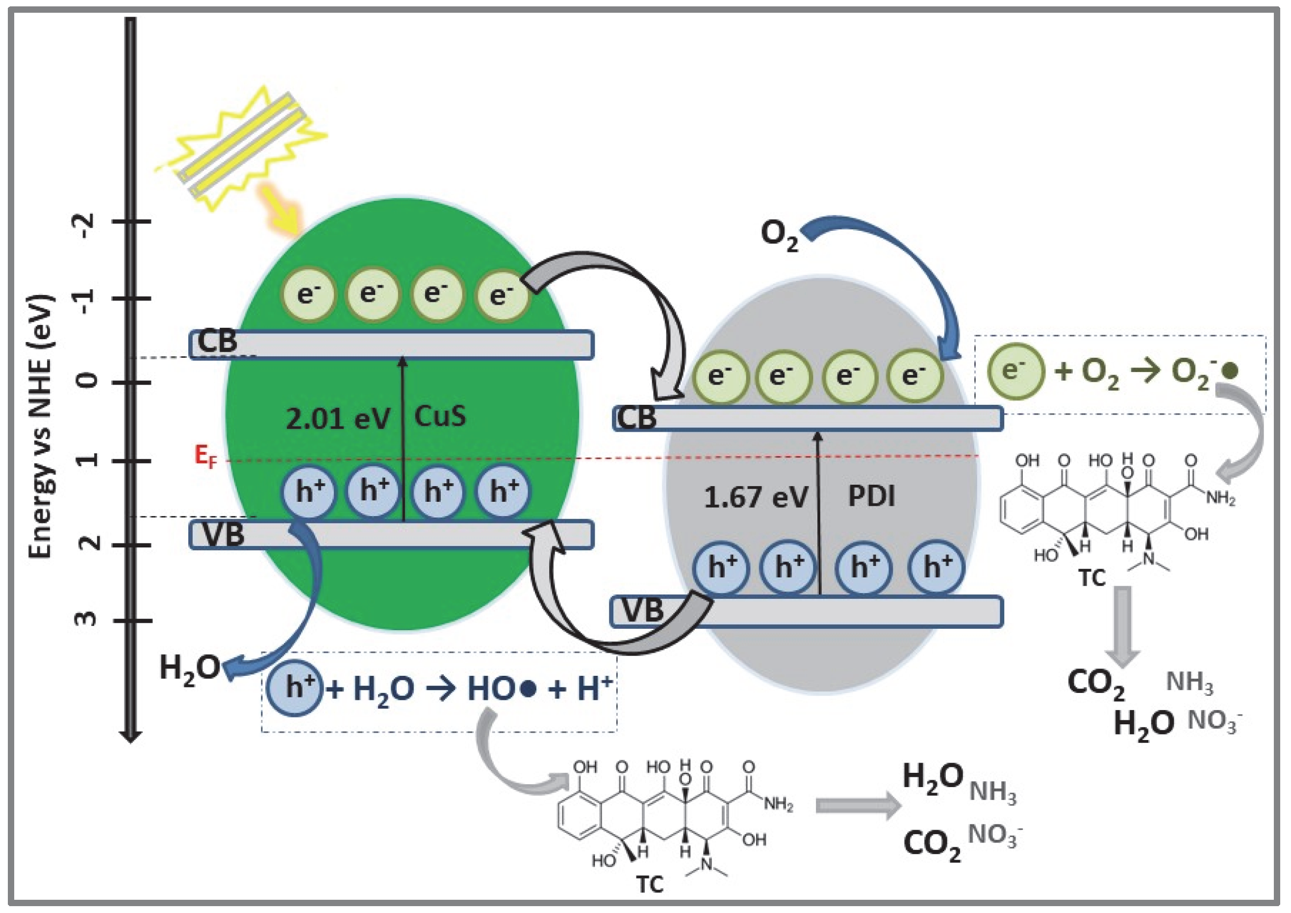 Catalysts 12 01135 g007 Catalysts 12 01135 g007