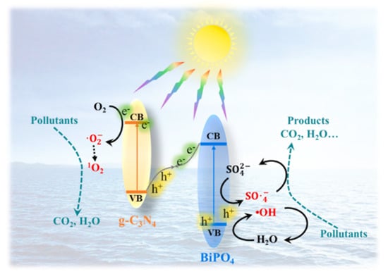 Peroxymonosulfate‐Assisted Phenol Degradation via a Magnetic  Covalent‐Triazine‐Framework‐Based Photocatalyst - Ai - 2023 - ChemCatChem -  Wiley Online Library