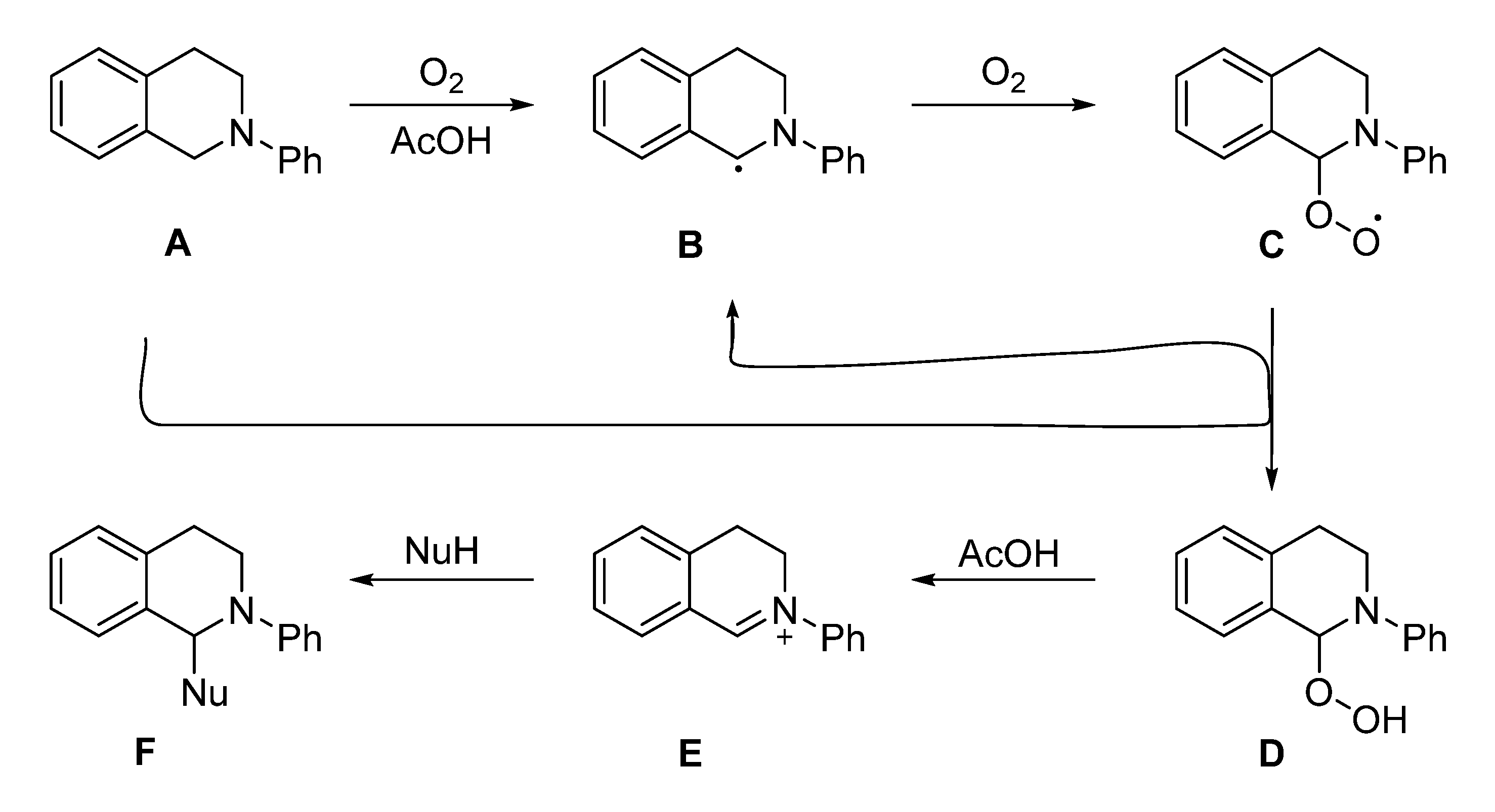 Catalysts 12 01149 sch011
