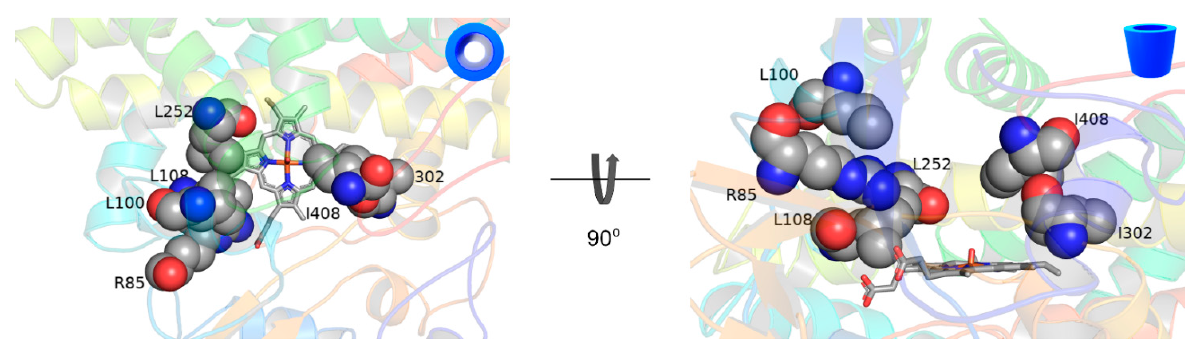 Catalysts 12 01157 g003