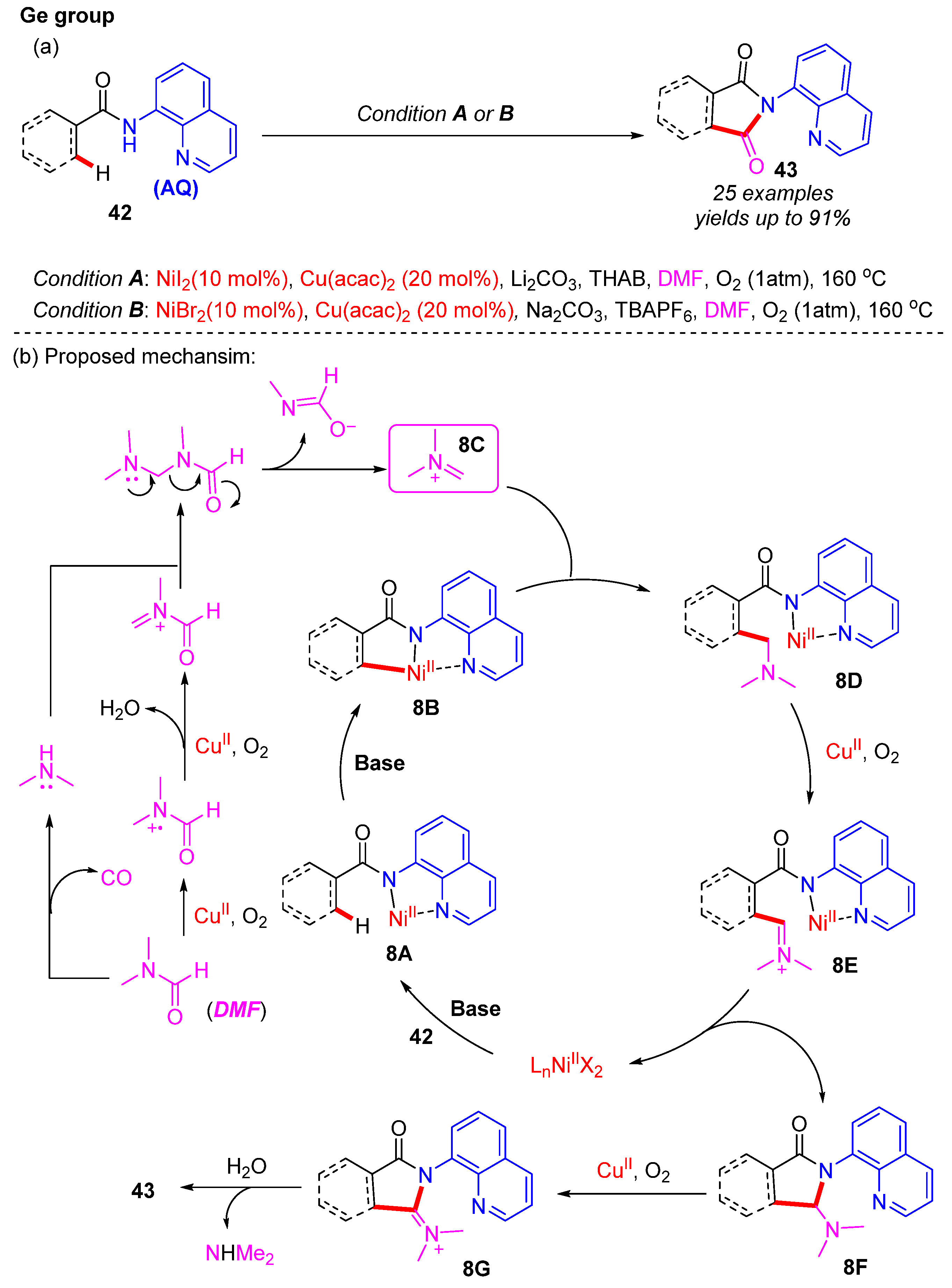 Catalysts 12 01163 sch016