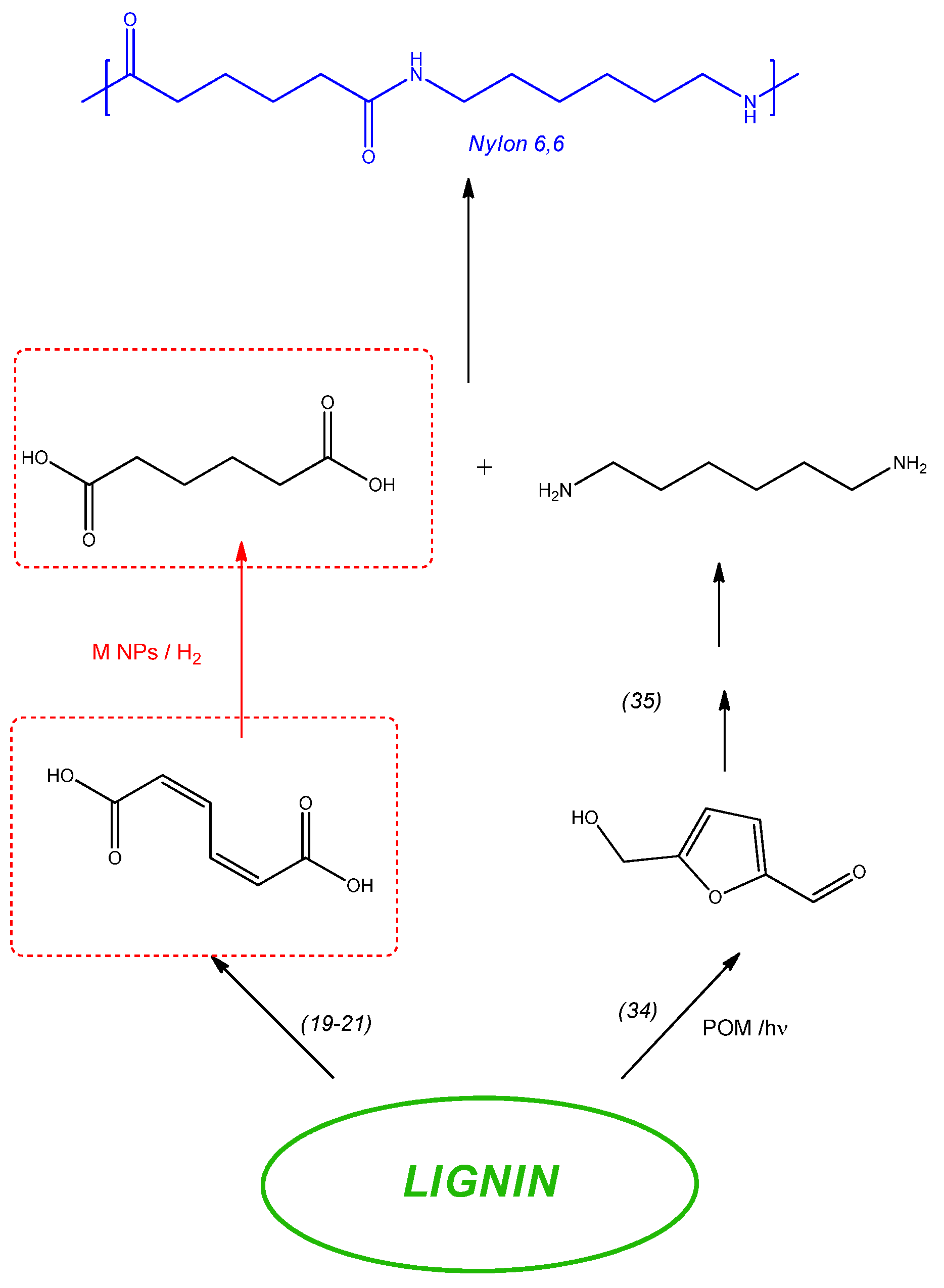 Catalysts 12 01206 sch001