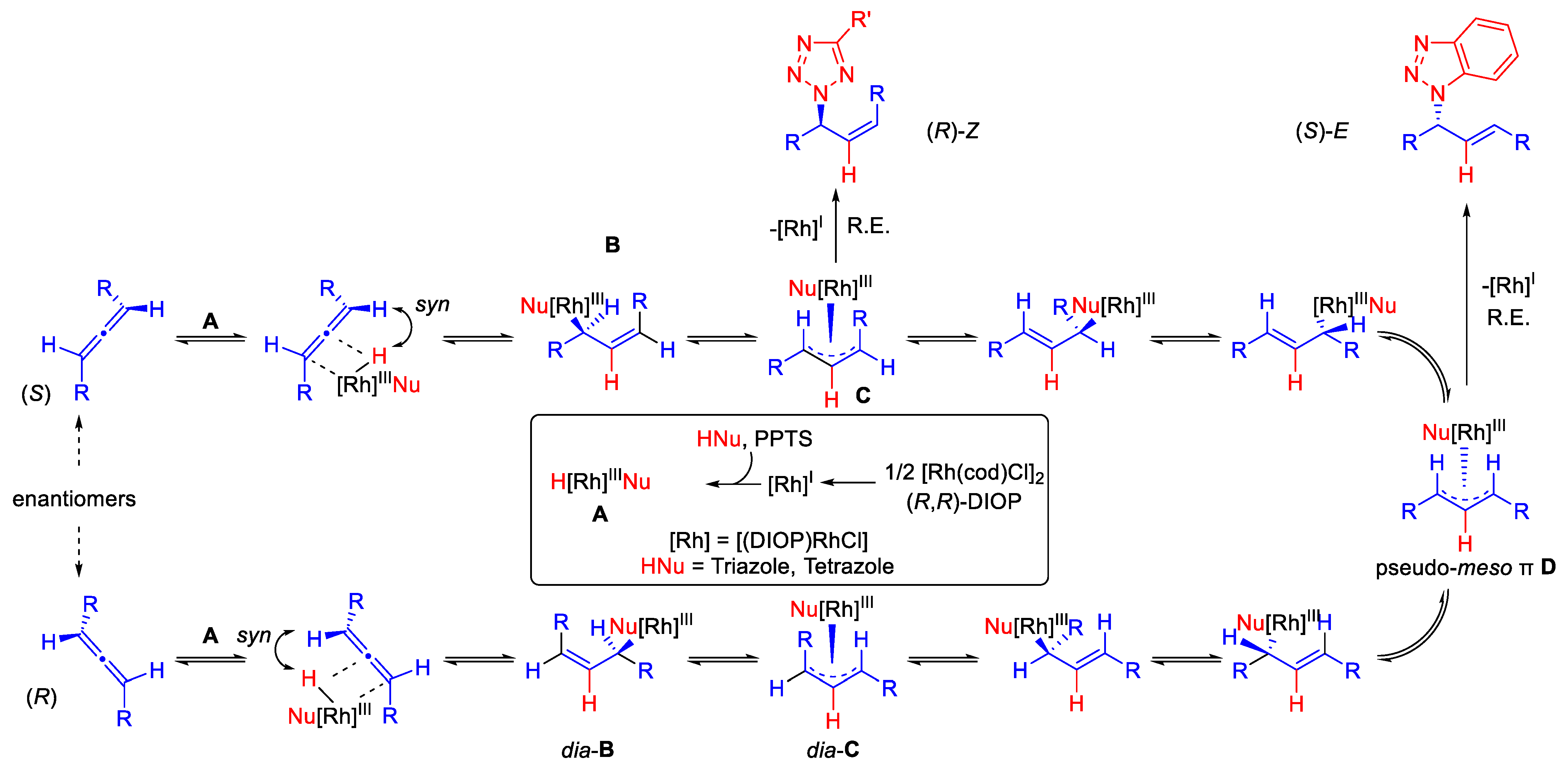 Catalysts 12 01209 sch004