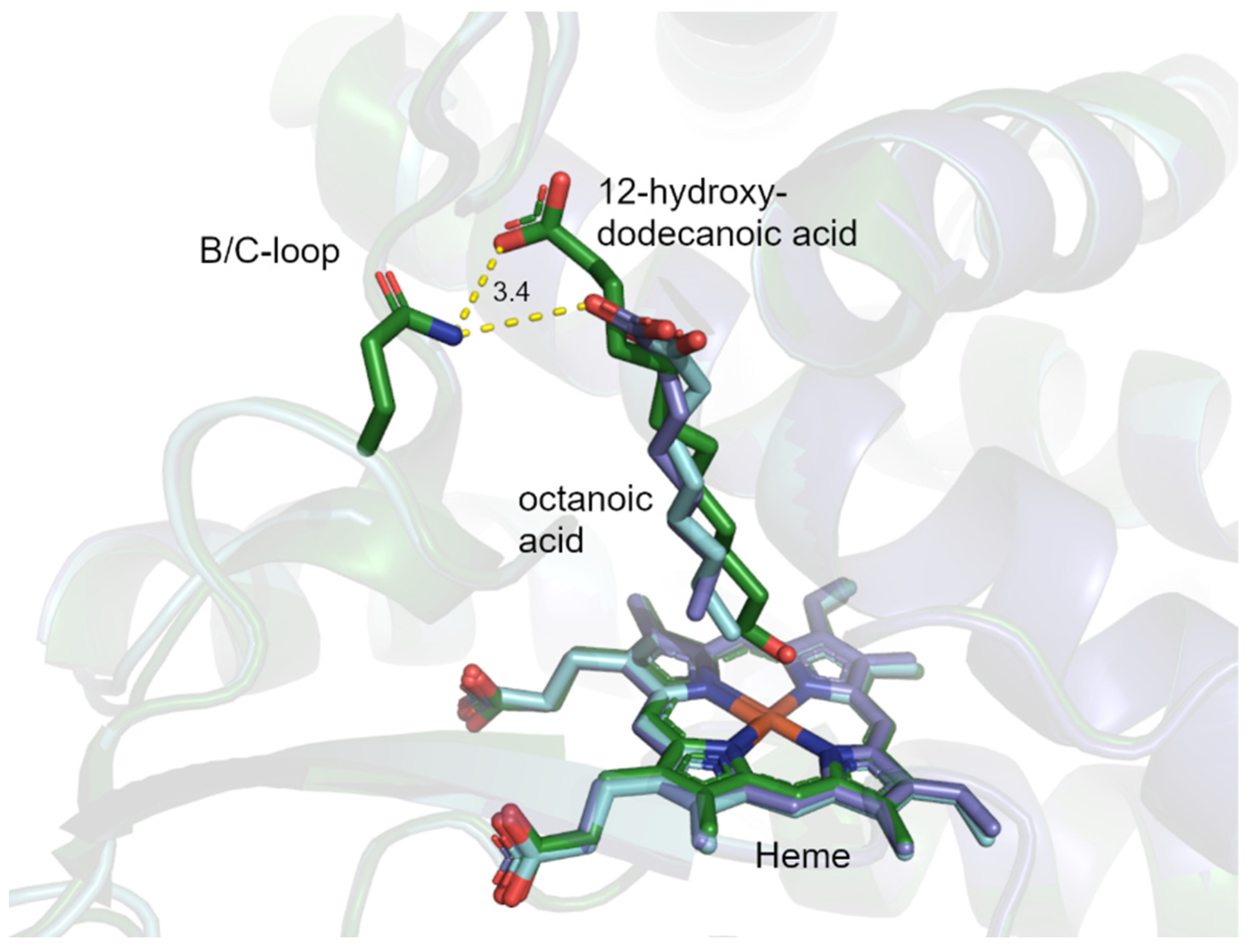 Catalysts 12 01213 g008