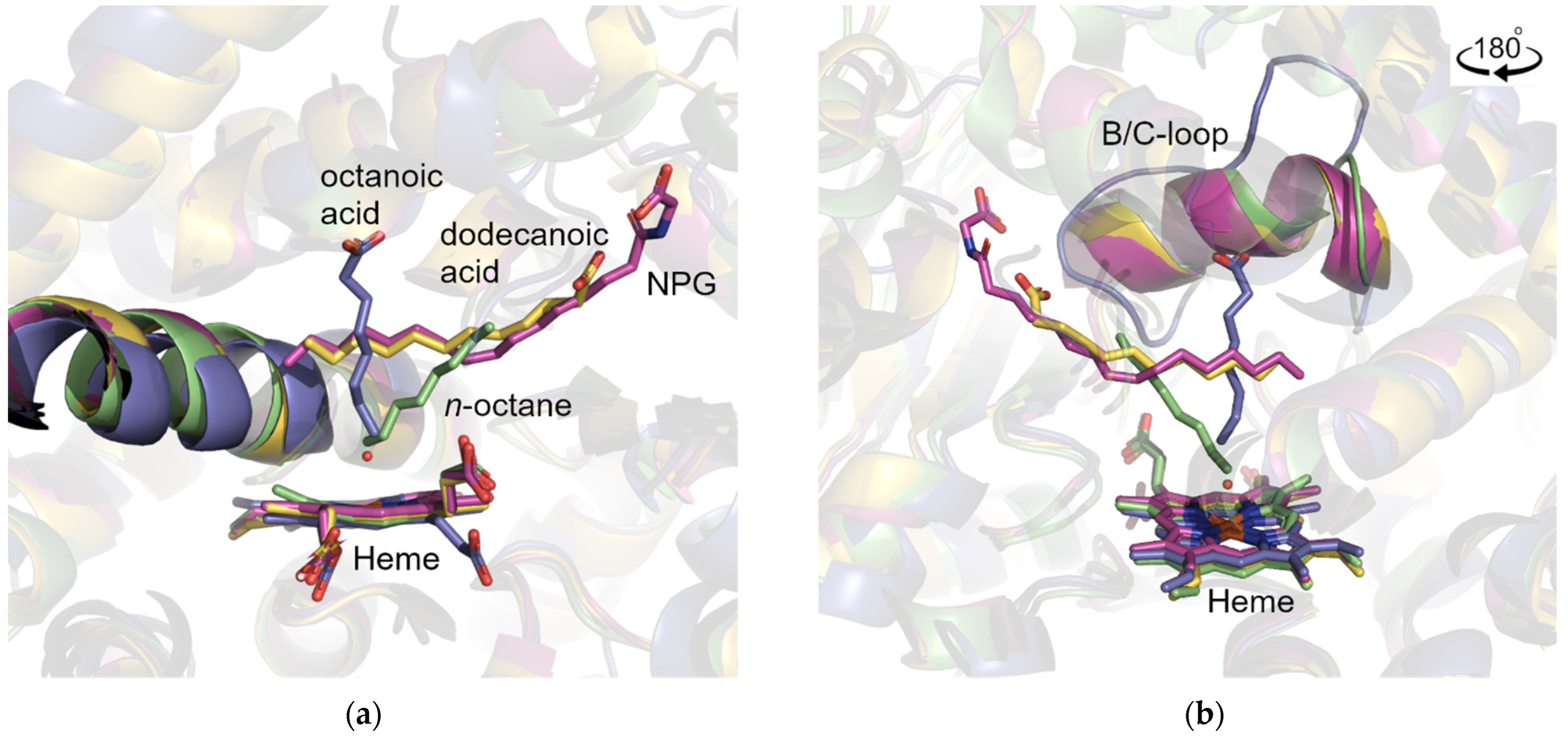 Catalysts 12 01213 g009