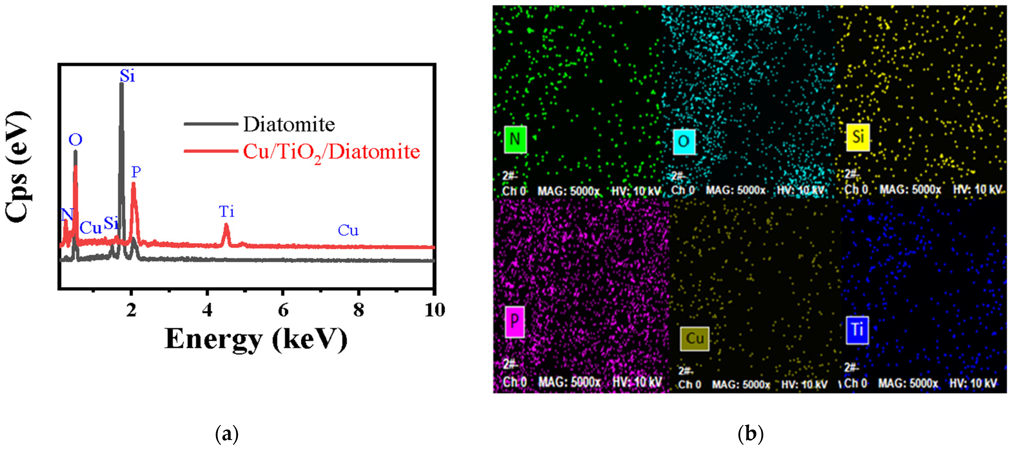 Catalysts 12 01217 g003